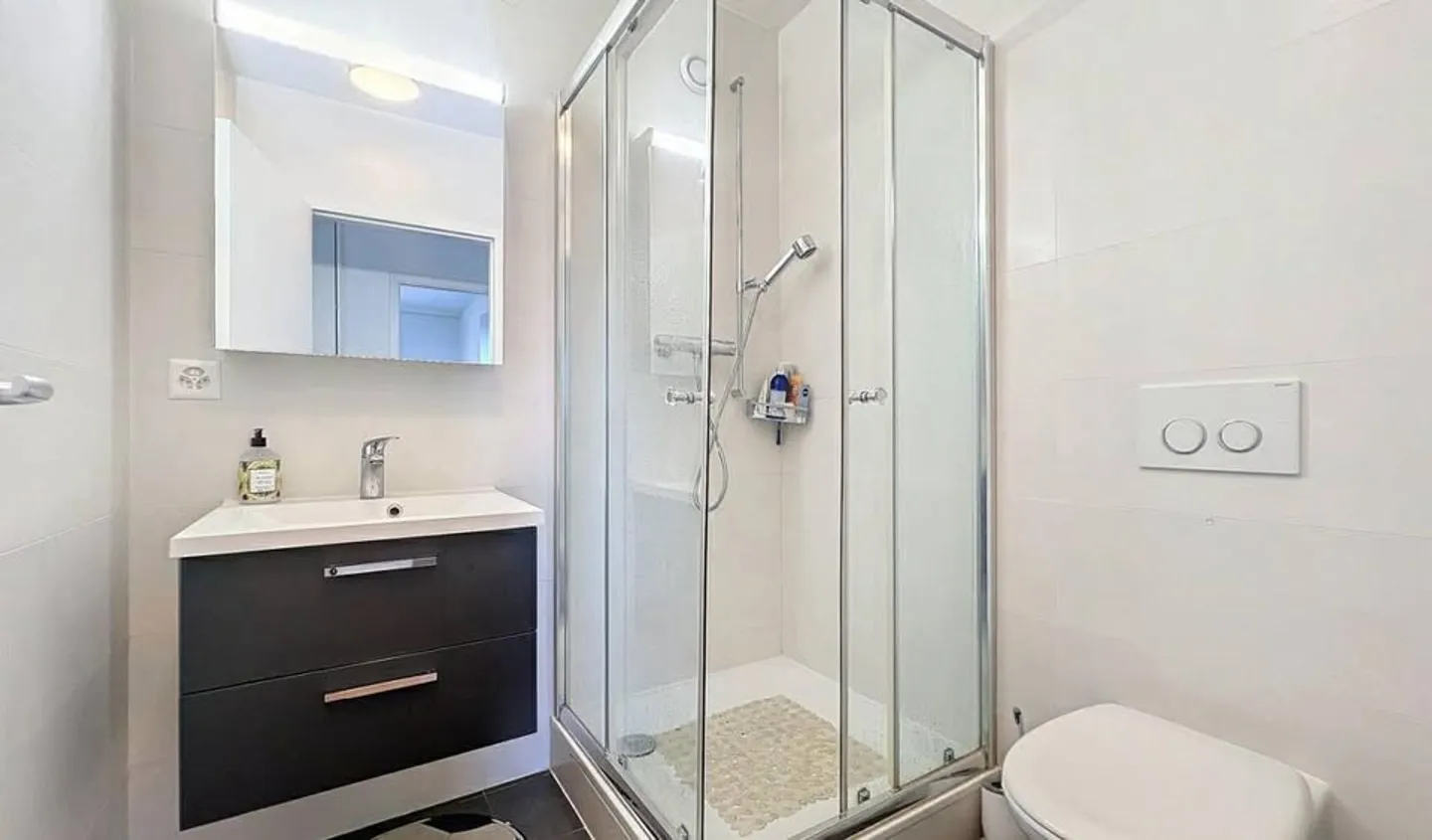 WELCOME: LARGE 5-ROOM APARTMENT (Petit-Lancy) - Photo 6 of 7