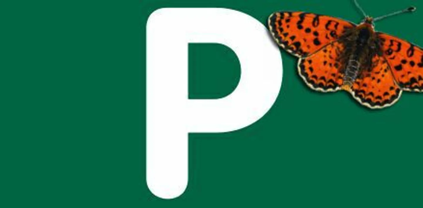 Parkplatz im Freien mieten - Foto 1 von 4