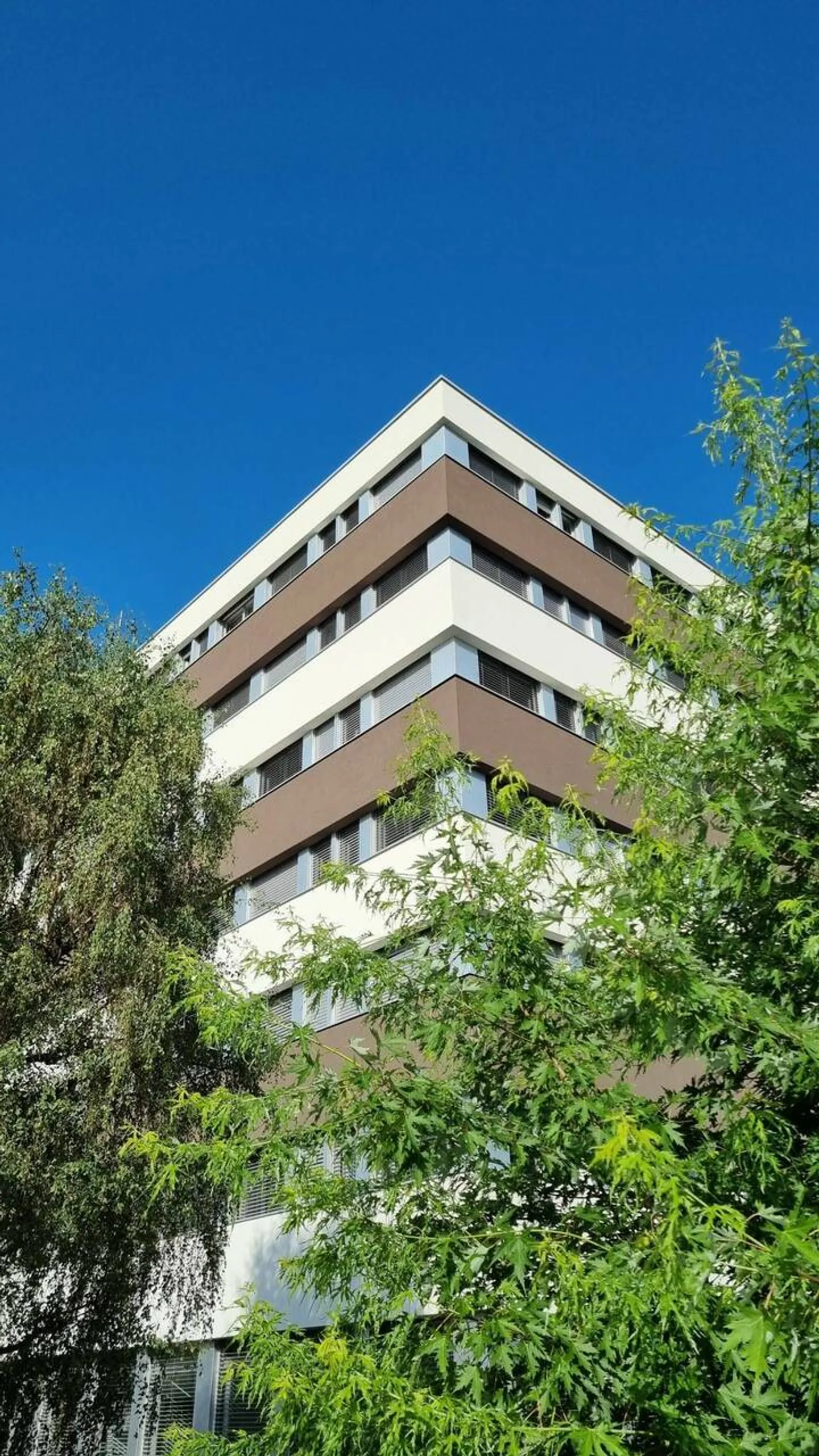 Offices for sale in Lausanne - Photo 3 of 10
