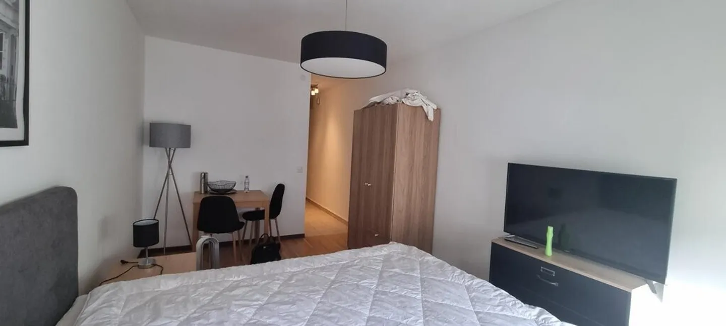 Charmant studio meublé à Genève - Photo 3 sur 4