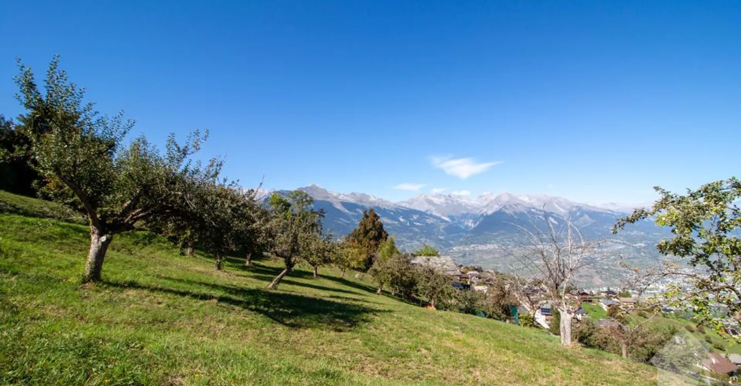 Chalet of 146 m² to be built on a plot of 1,000 m² - Photo 3 of 13