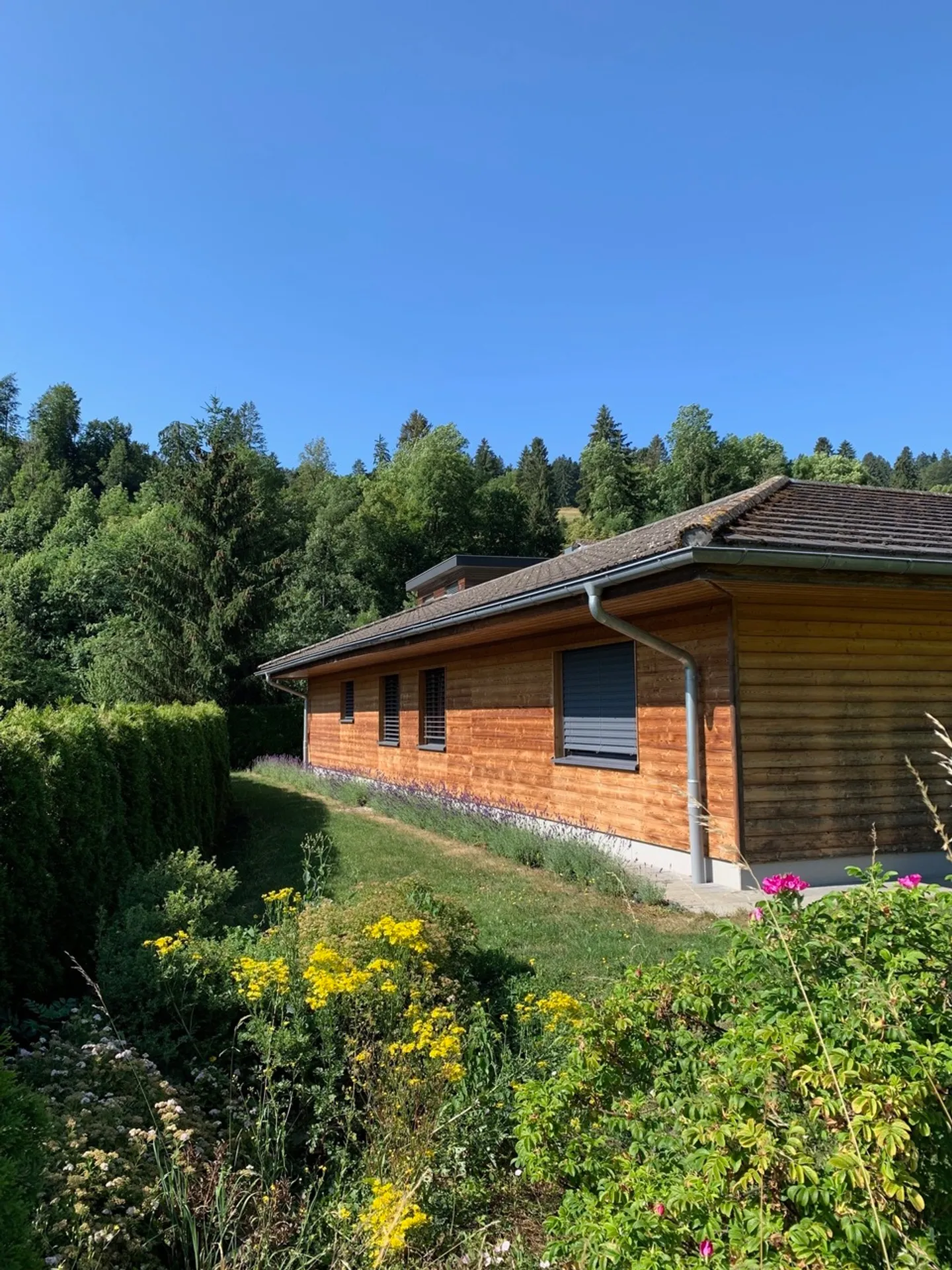 Elegant Single-Family Home - Photo 7 of 32