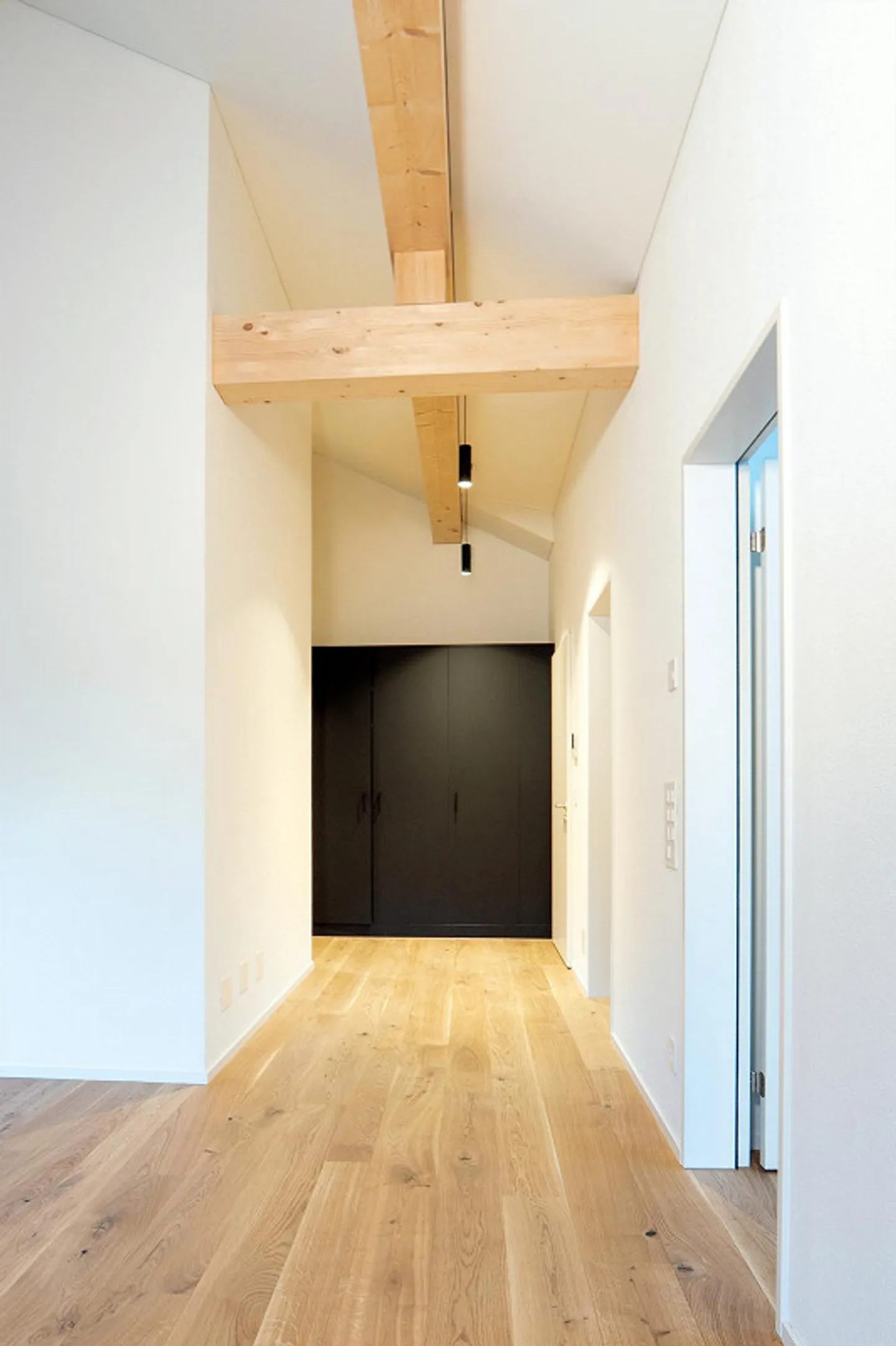 FIRST USE: Exclusive 4.5 Attic Apartment in Ownership Standard - Photo 8 of 23