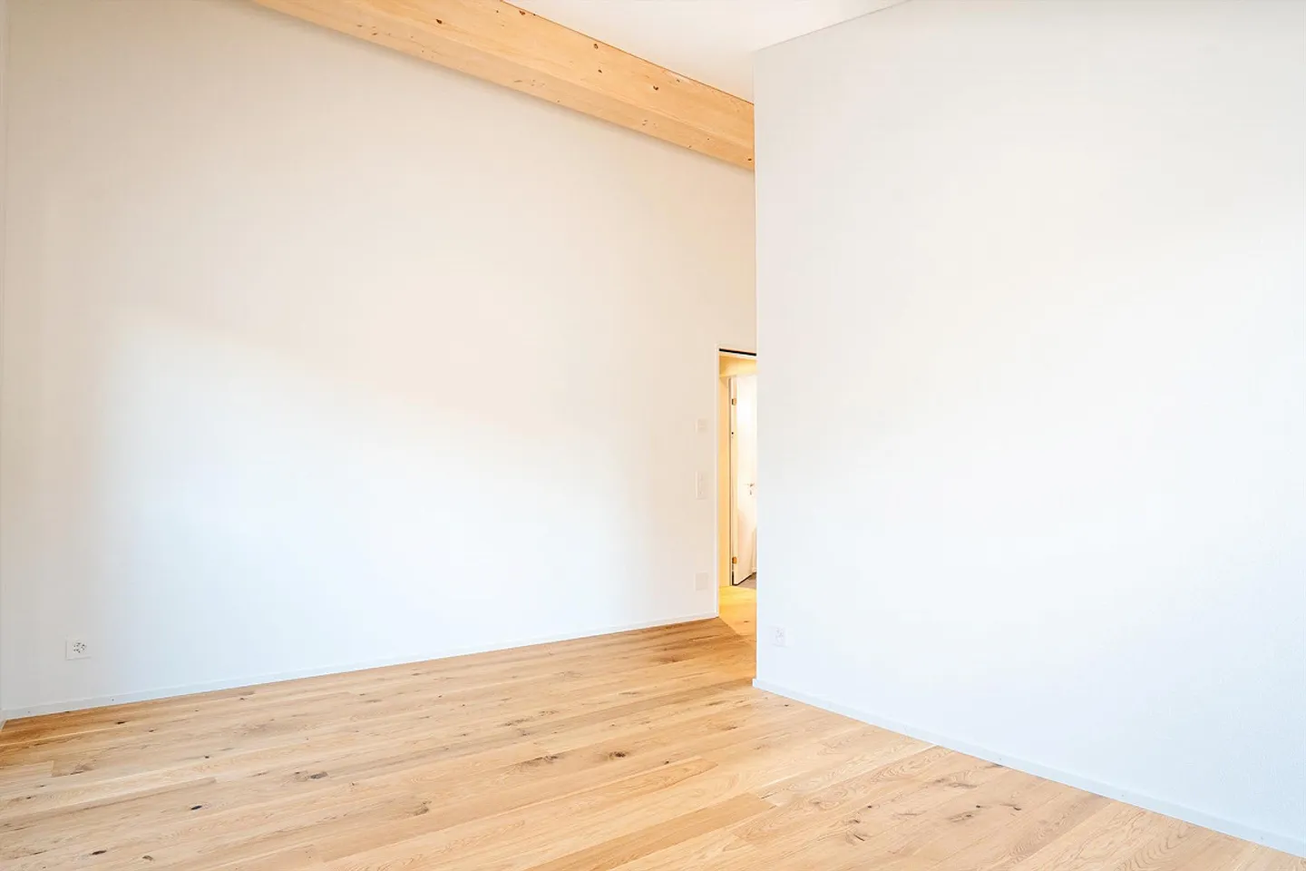 FIRST USE: Exclusive 4.5 Attic Apartment in Ownership Standard - Photo 13 of 23