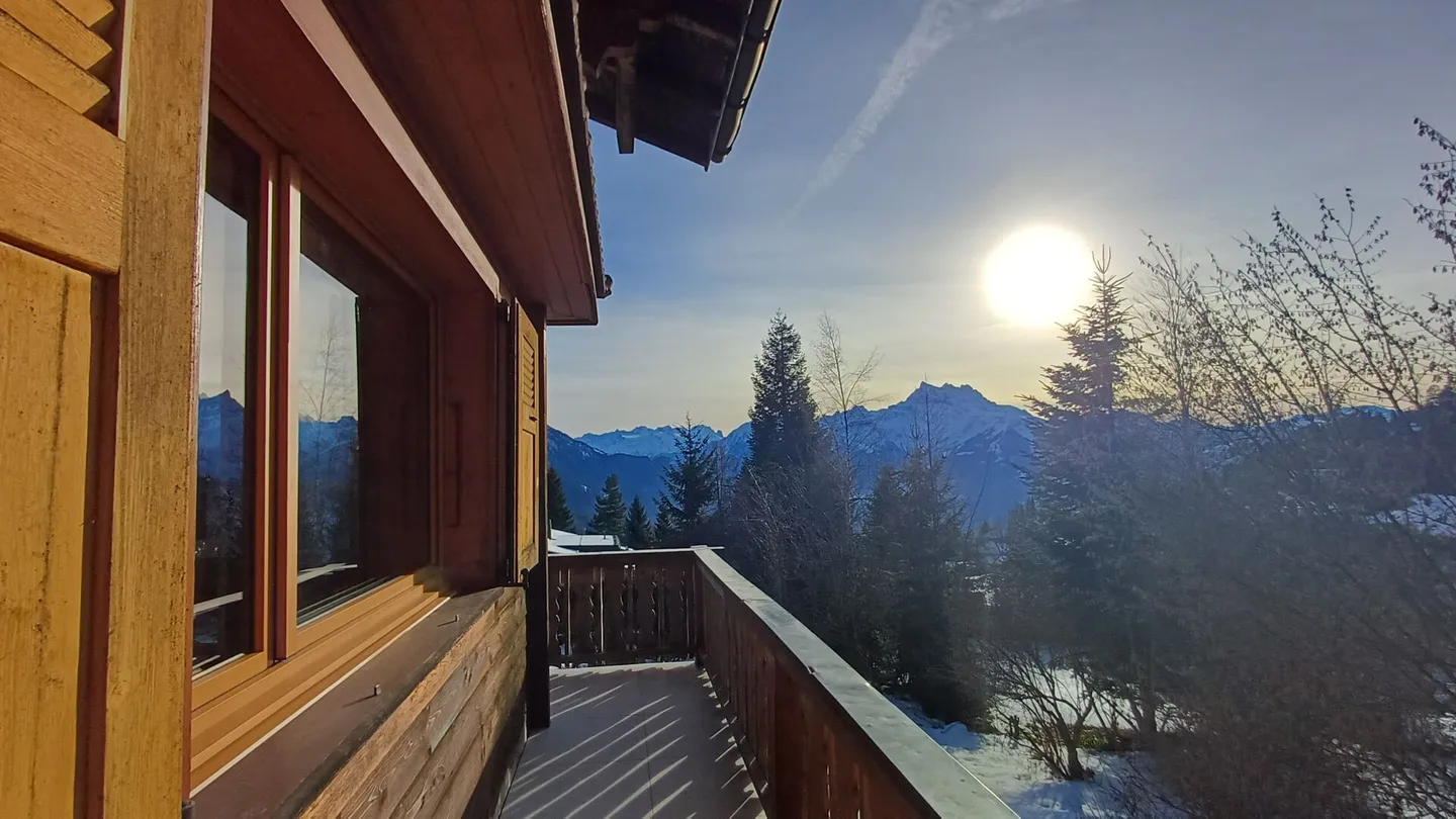 Die Mossettes - Foto 7 von 26