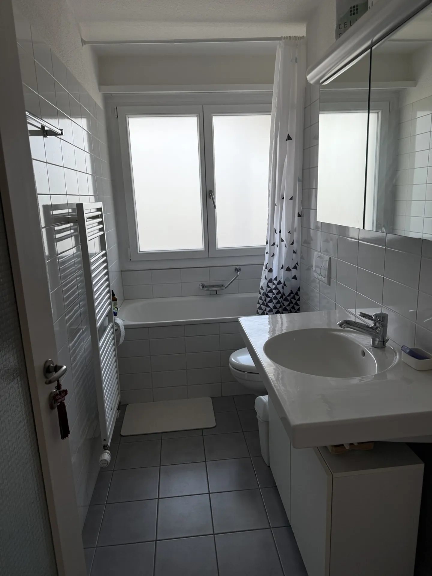 2½ ROOM APARTMENT IN ZURICH - DISTRICT 4, FURNISHED, TEMPORARY - Photo 3 of 5