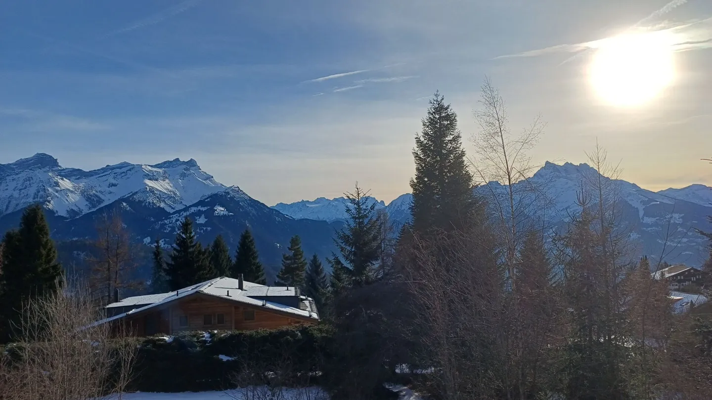 Die Mossettes - Foto 12 von 26