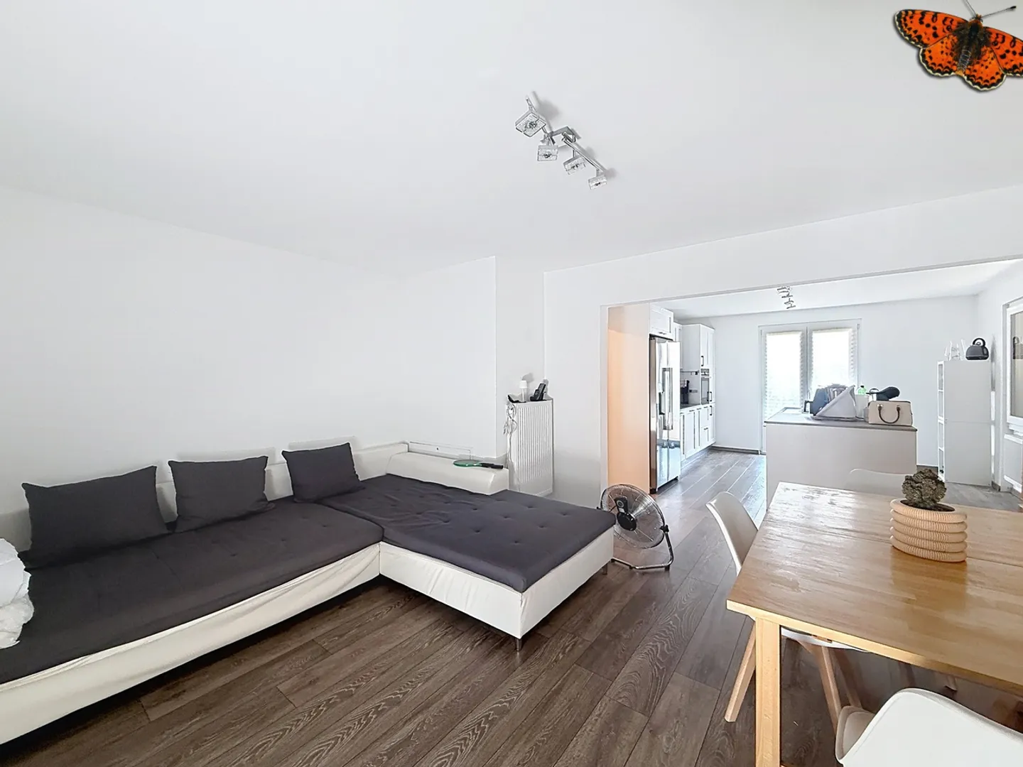 Appartamento 3 locali - Con terrazza e giardino - Foto 4 di 9