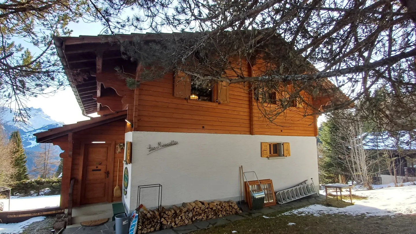 Die Mossettes - Foto 21 von 26