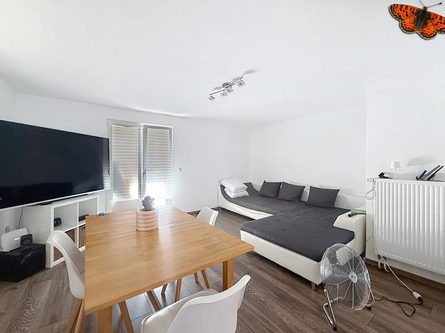 Appartamento 3 locali - Con terrazza e giardino - Foto 6 di 9