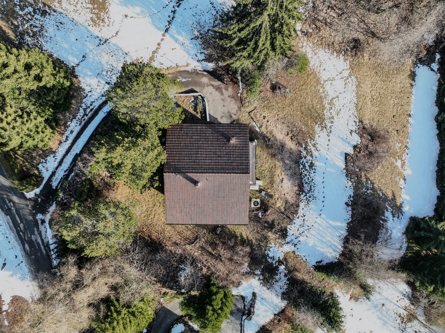 Die Mossettes - Foto 25 von 26