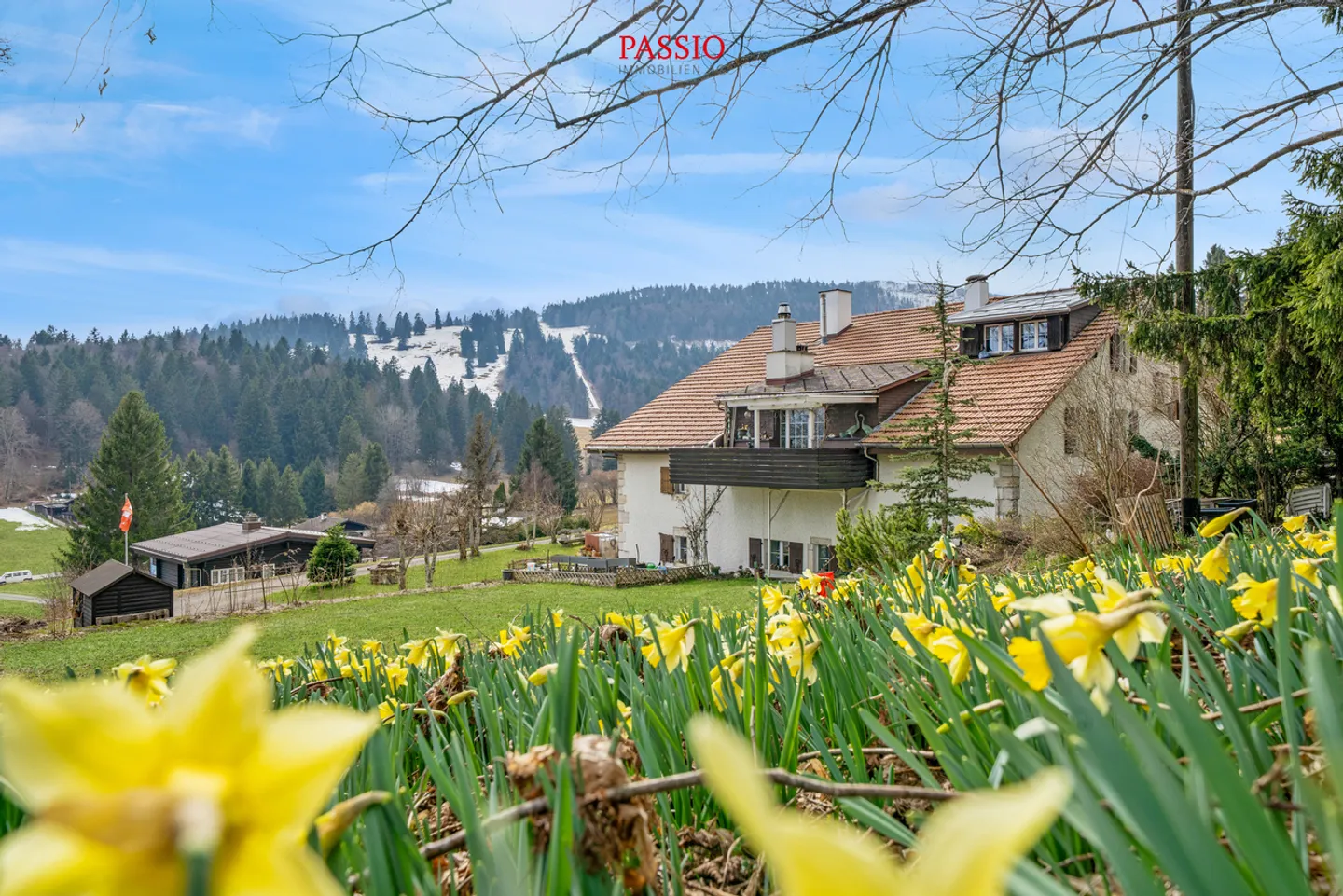 Charmante Wohnung mit Alpenblick - Foto 1 von 19
