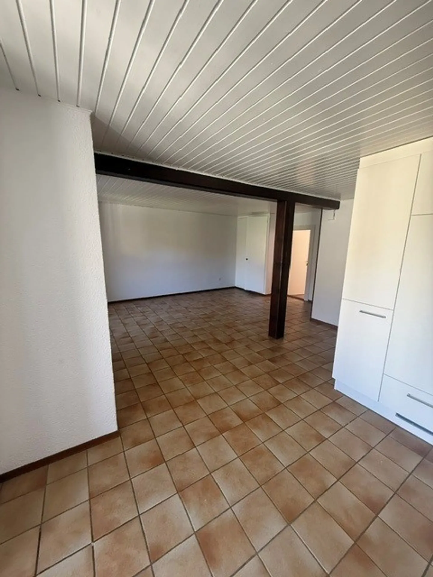 Appartement spacieux 6 pièces - Photo 4 sur 19