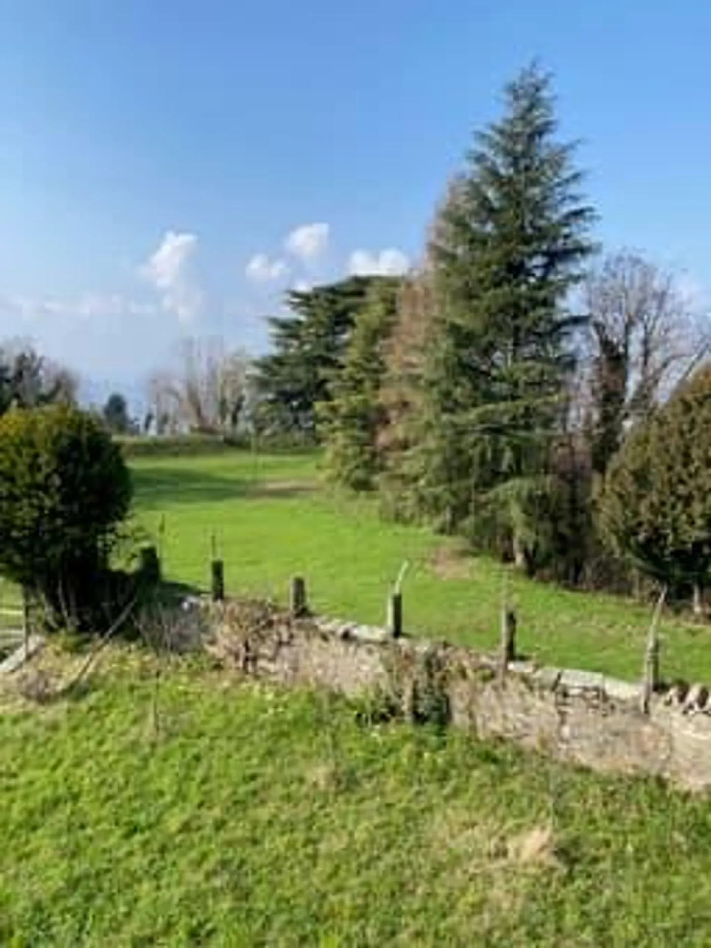 Dimora patrizia con 1.000 m² di giardino - Foto 4 von 14