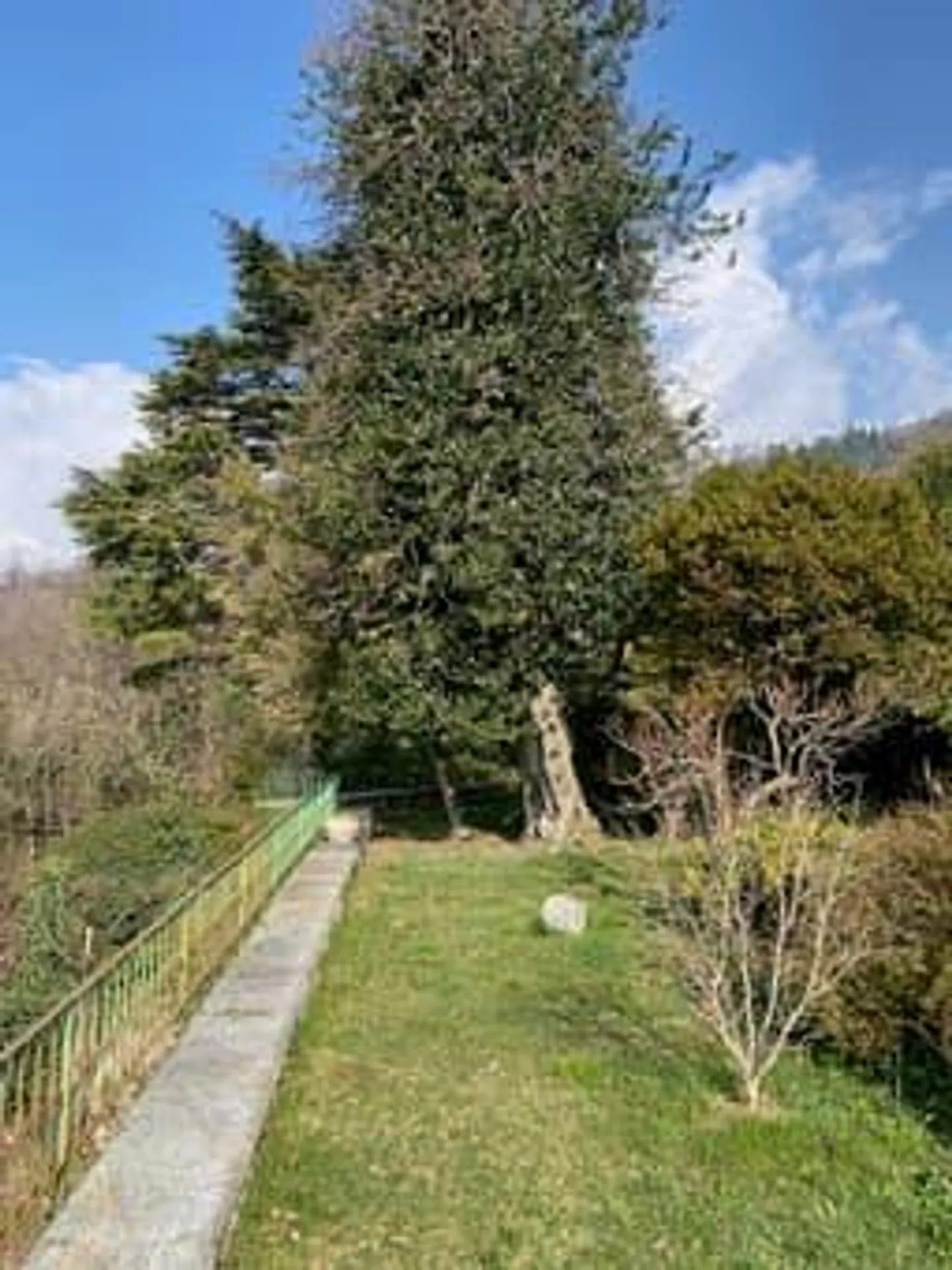 Dimora patrizia con 1.000 m² di giardino - Foto 5 von 14