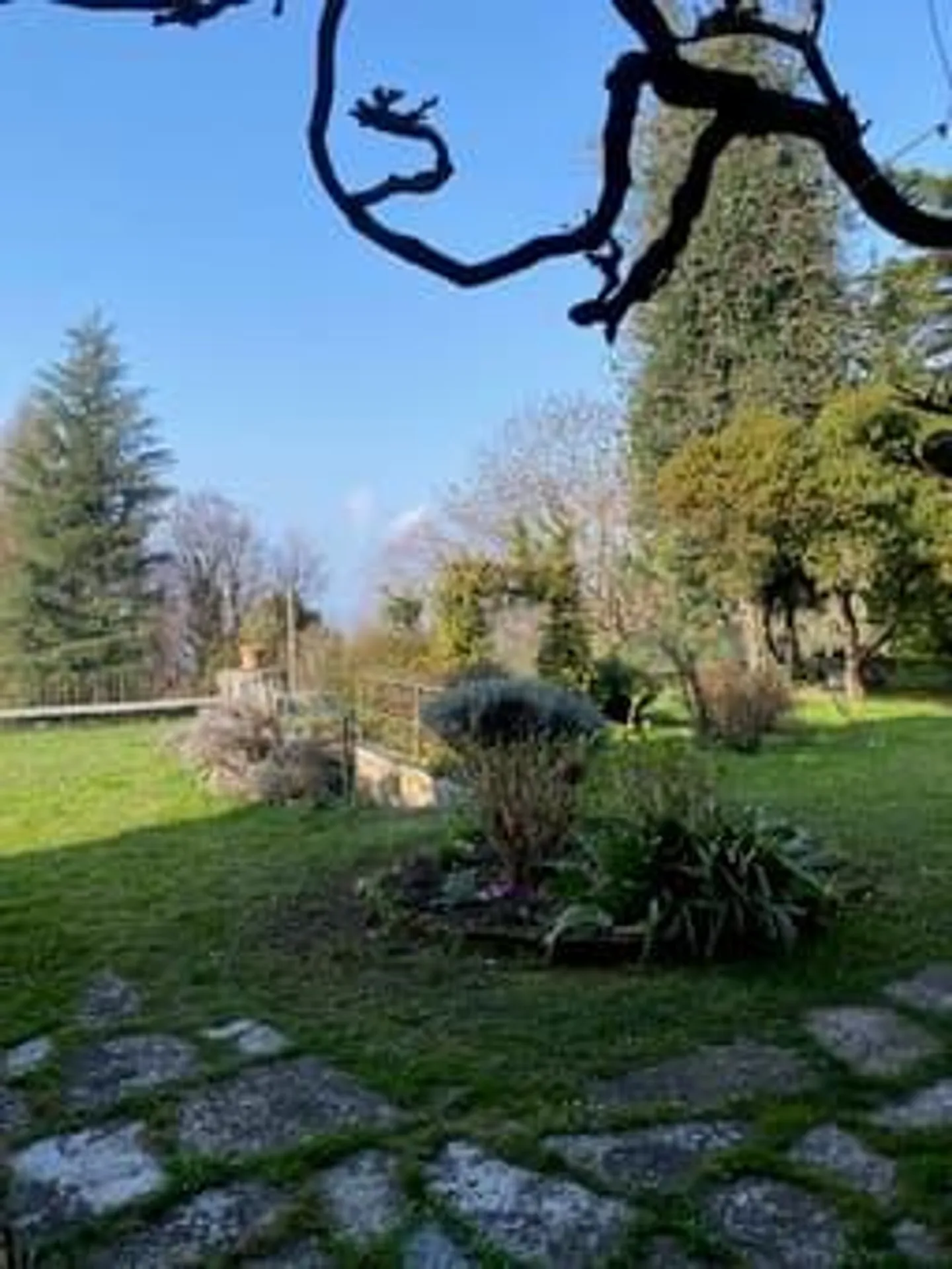 Dimora patrizia con 1.000 m² di giardino - Foto 12 von 14