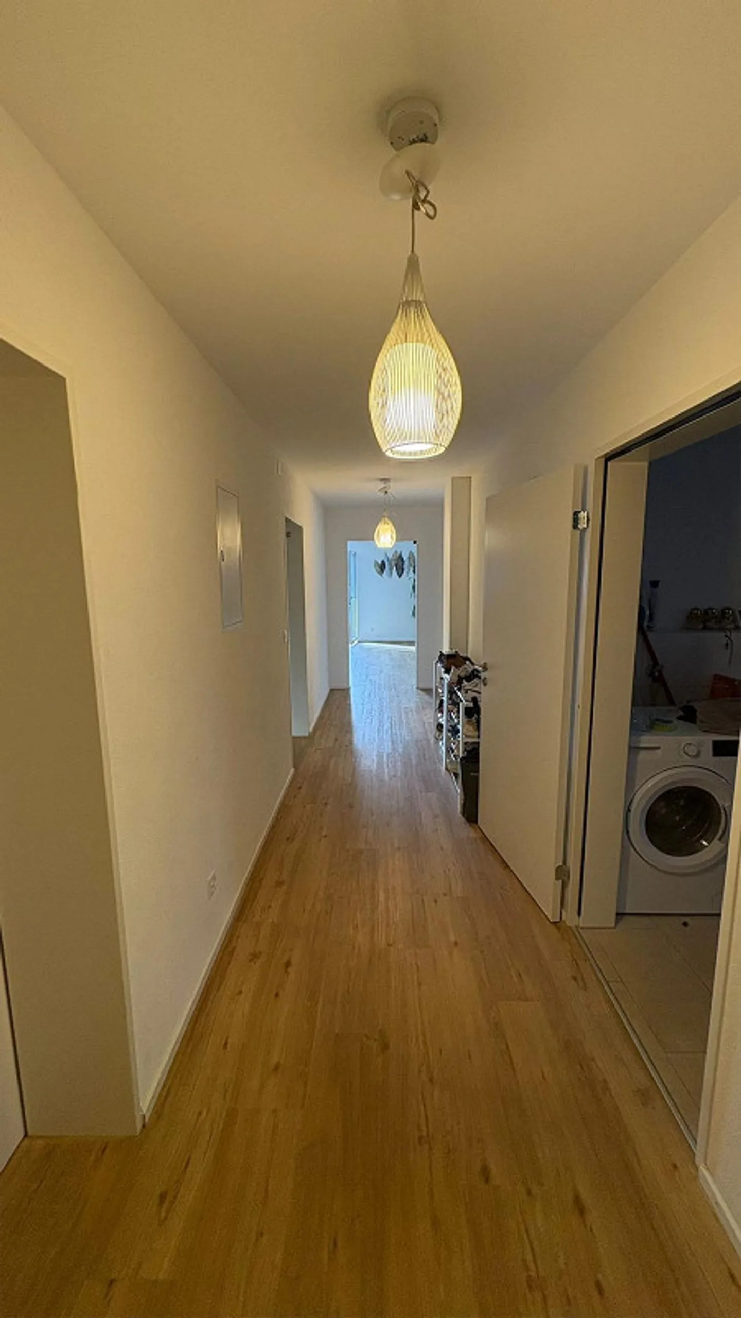 3.5 Room Apartment - Photo 5 of 6