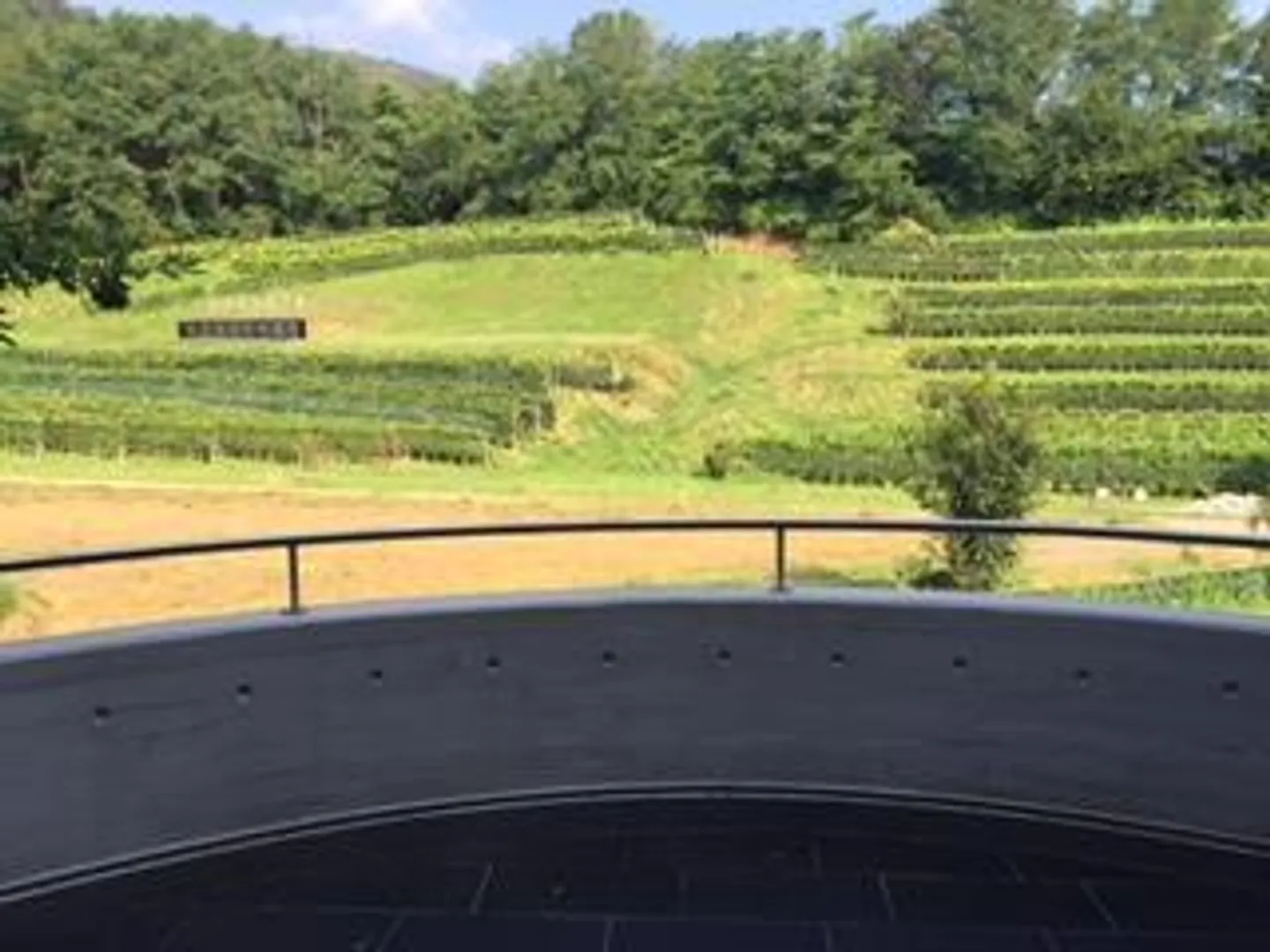 Ufficio/Laboratorio Spazioso a Mendrisio - Foto 2 di 6