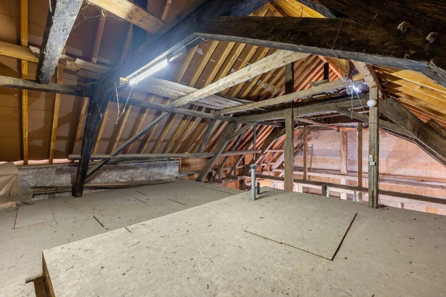 Attività artigianale - Finanziata dall'affitto della casa di 5,5 stanze - Foto 5 di 20