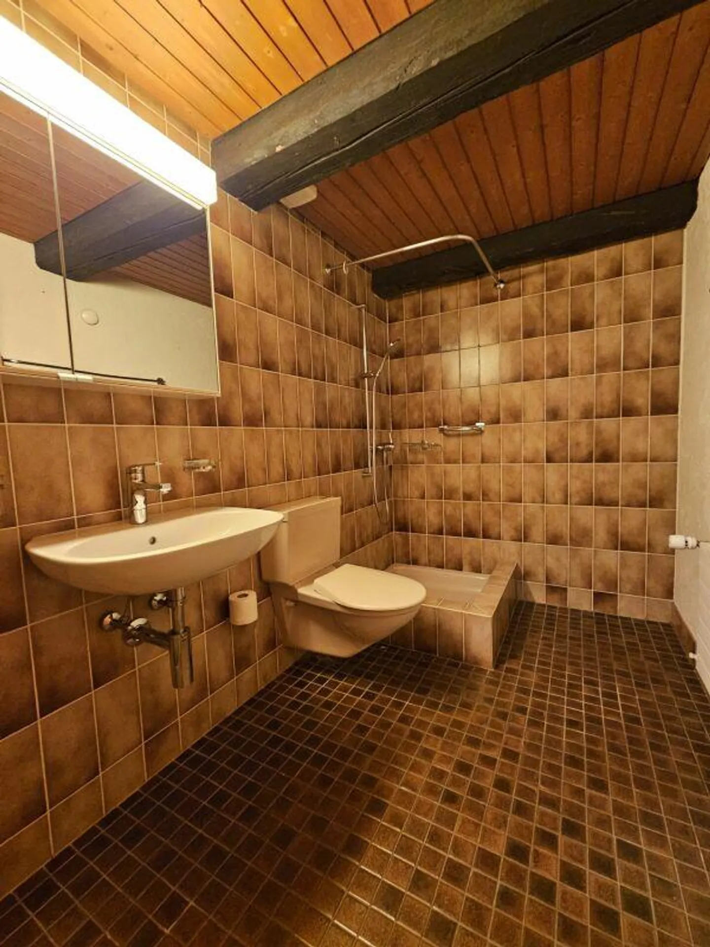 Attività artigianale - Finanziata dall'affitto della casa di 5,5 stanze - Foto 18 di 20