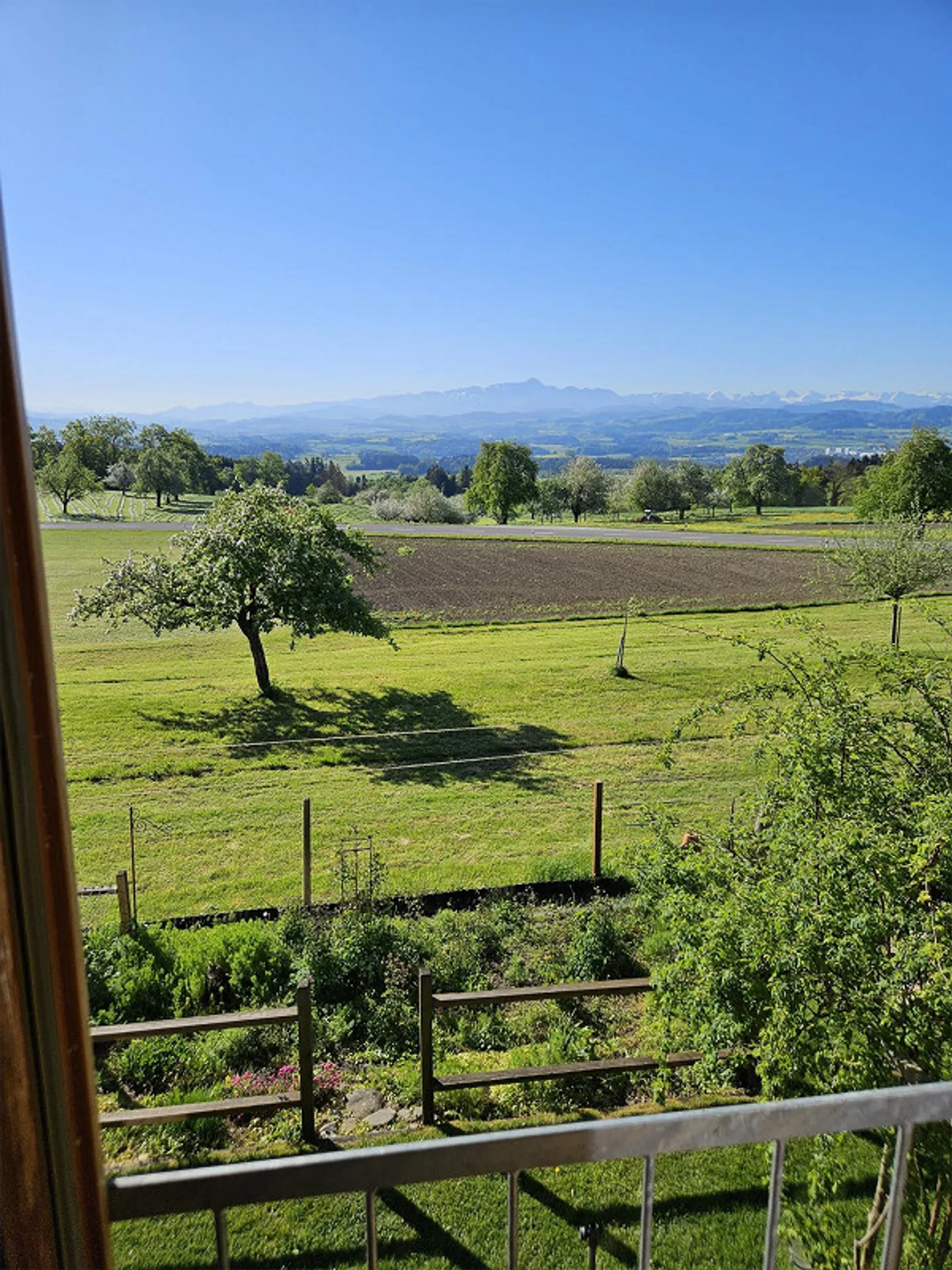 Panoramic View with Privacy - Photo 11 of 11