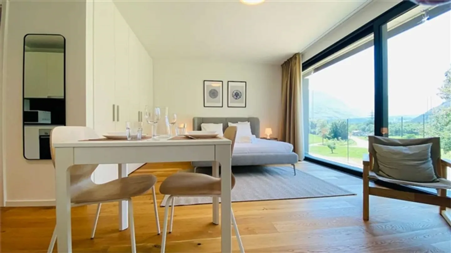 PACCHETTO D'INVESTIMENTO – 3 APPARTAMENTI A RENDIMENTO IN TESSIN - Foto 10 di 12