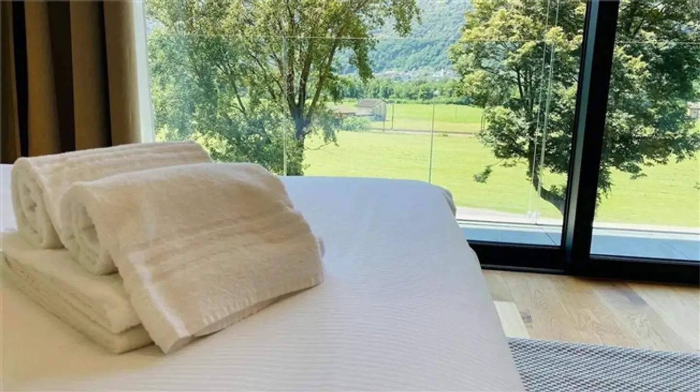 PACCHETTO D'INVESTIMENTO – 3 APPARTAMENTI A RENDIMENTO IN TESSIN - Foto 11 di 12