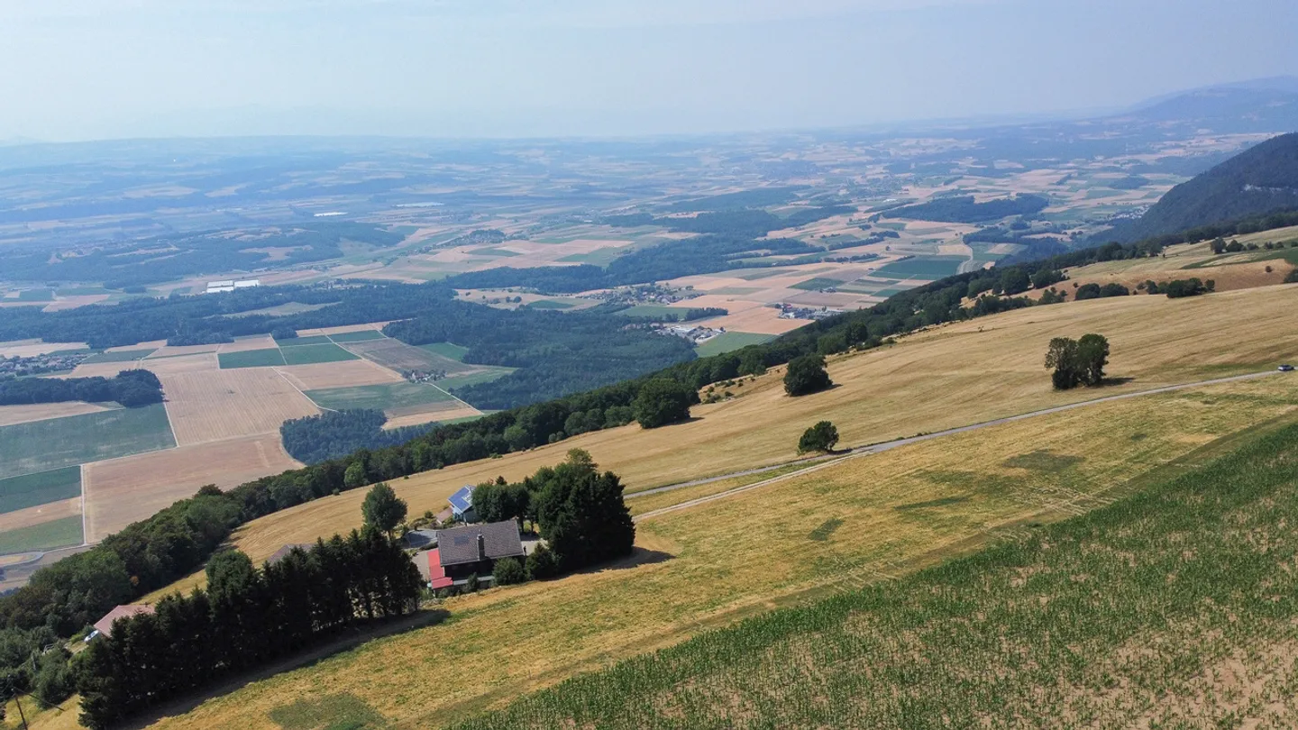 Detached house with 6.5 rooms and magnificent panoramic view - Photo 25 of 28