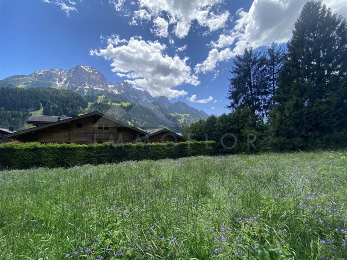 Terrain n° 1304 - Photo 3 sur 10