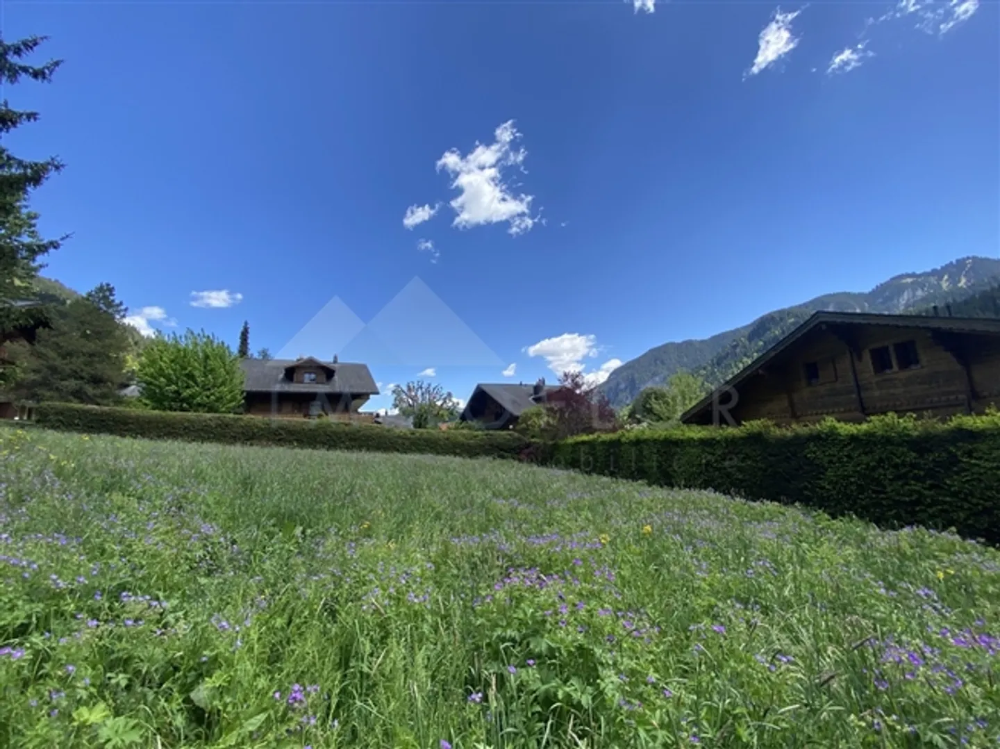 Terrain n° 1304 - Photo 4 sur 10