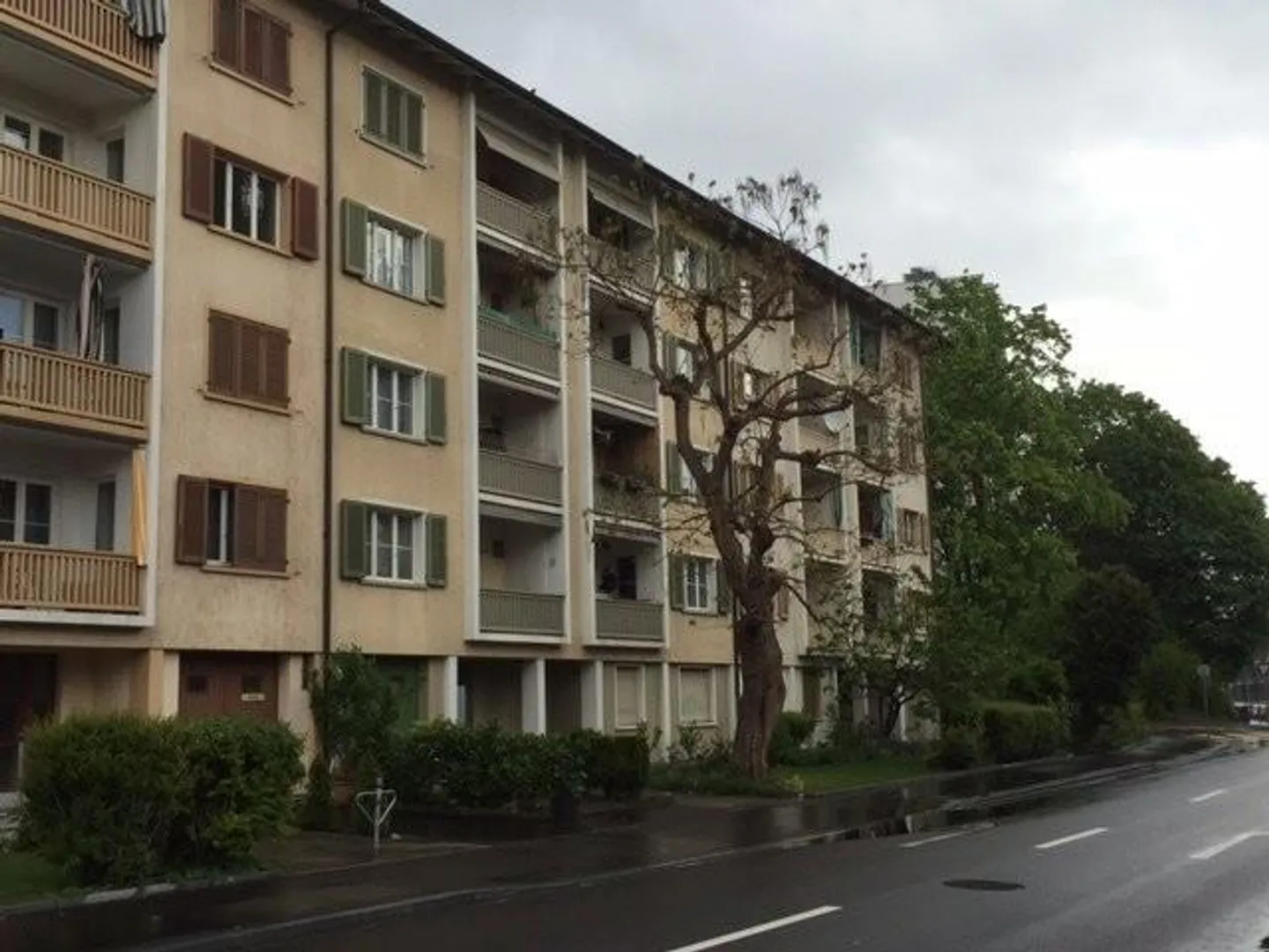 Vivre près de Birs et du parc St. Jakob! - Photo 1 sur 9