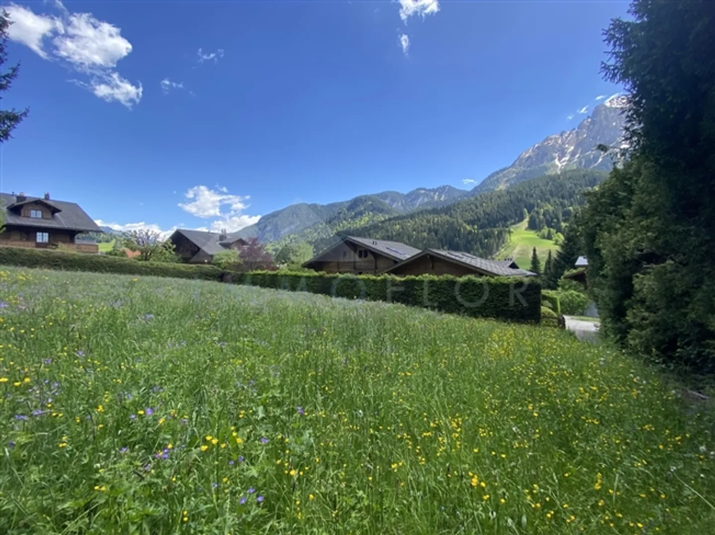 Terrain n° 1304 - Photo 8 sur 10