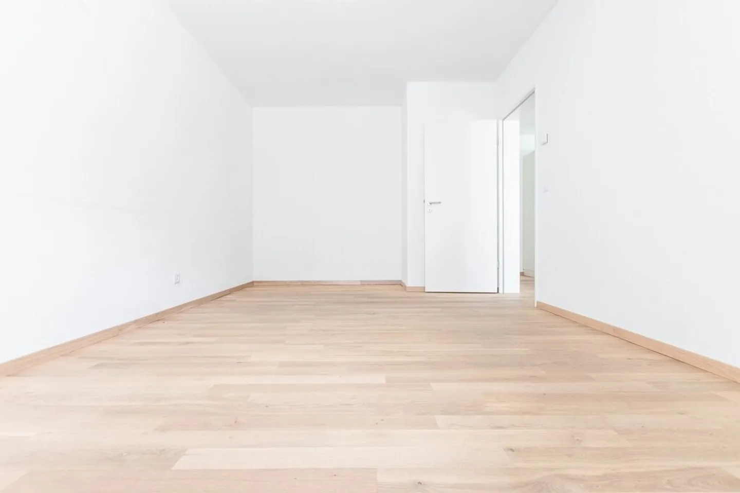 Apartment with a view of greenery seeks single! - Photo 5 of 12