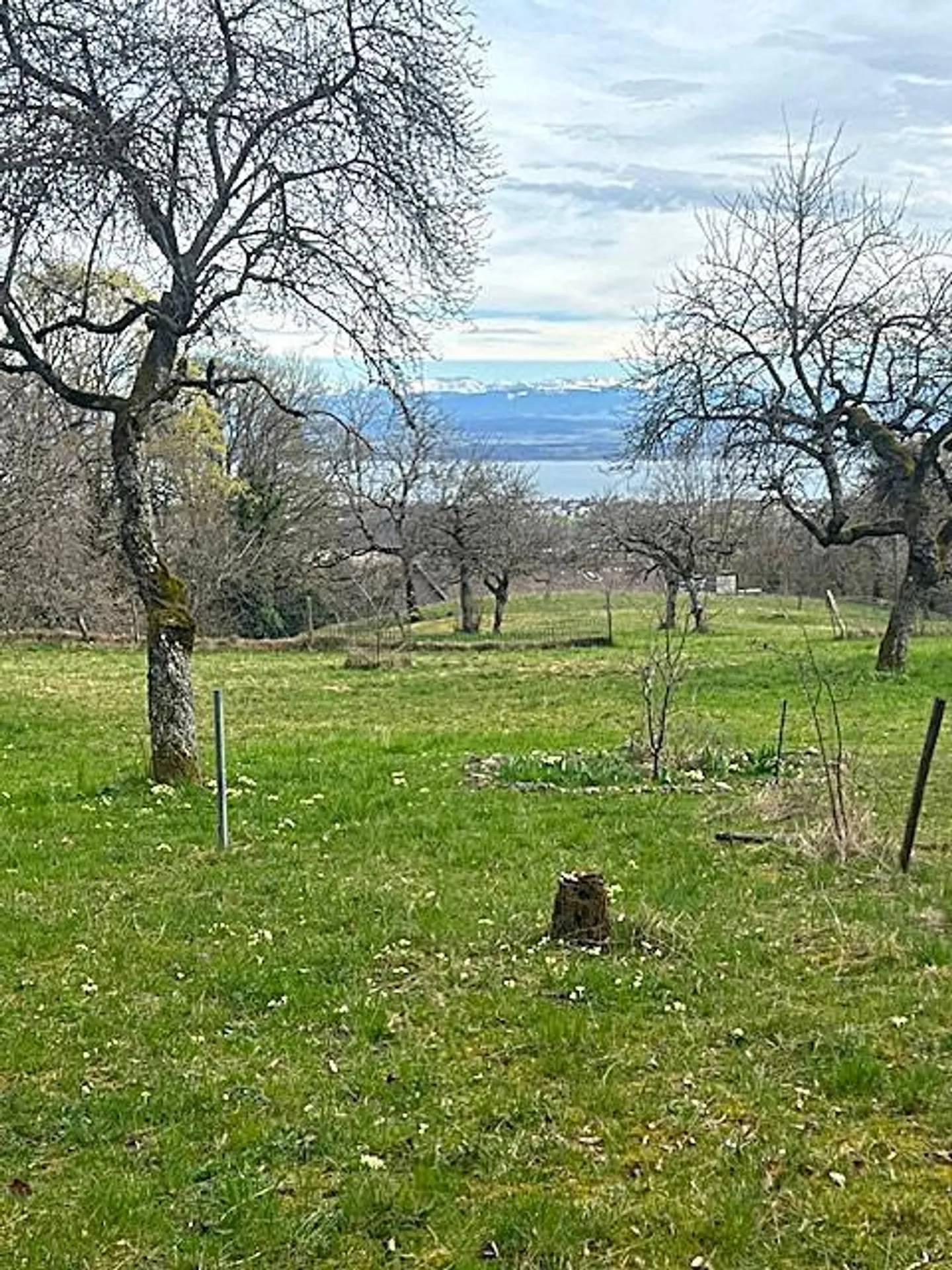 Magnificent building plot of 3,383 m² with a view - Photo 4 of 8