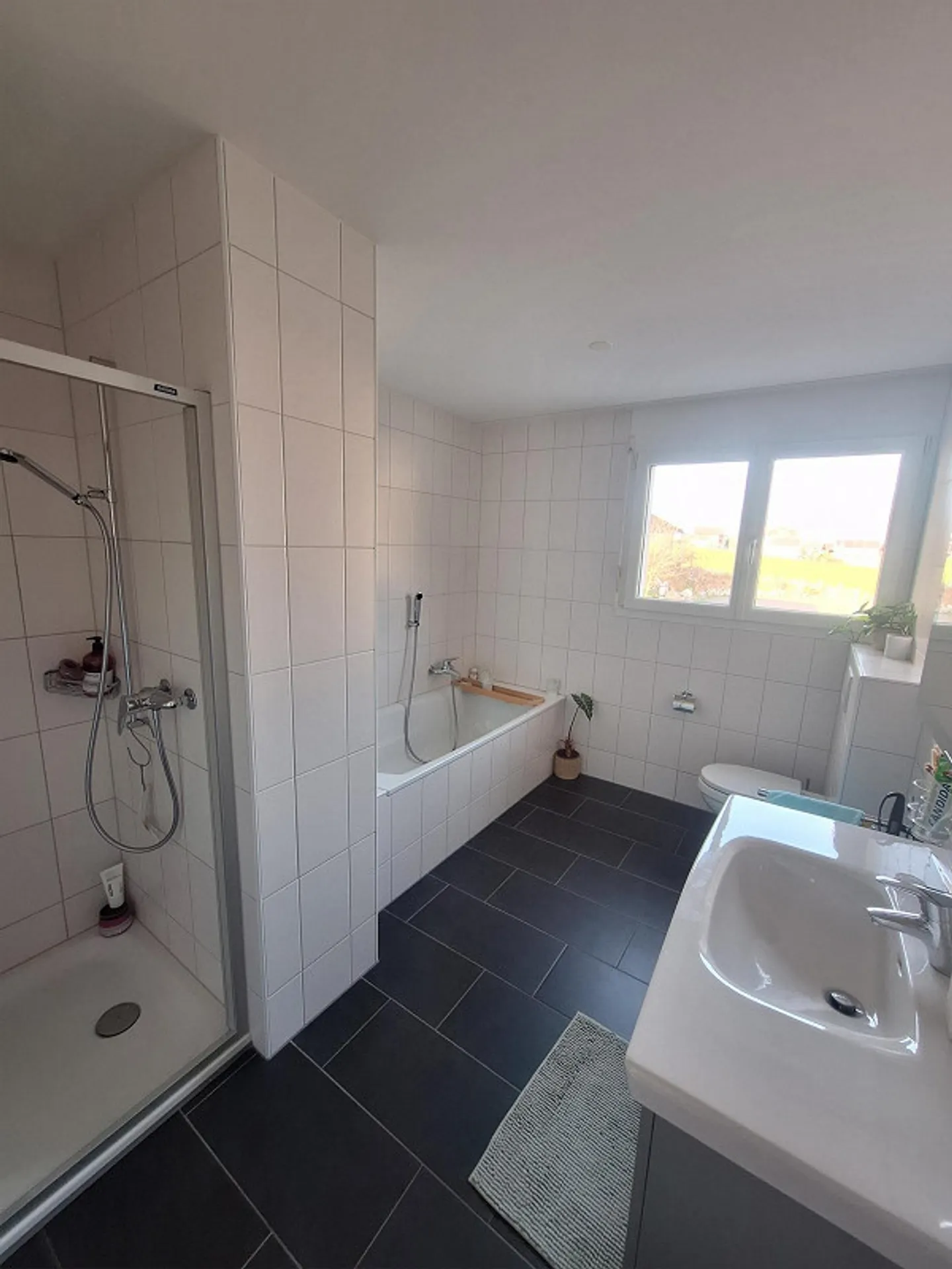 Wunderschöne Attikawohnung am See - Foto 3 von 5