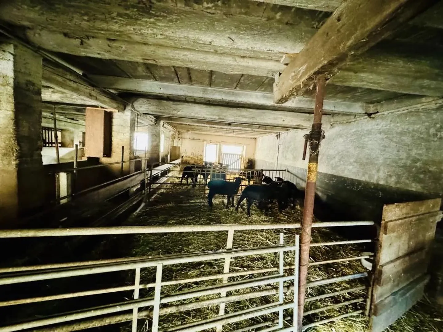 Charmante Ferme à Courtemaîche - Photo 14 sur 23
