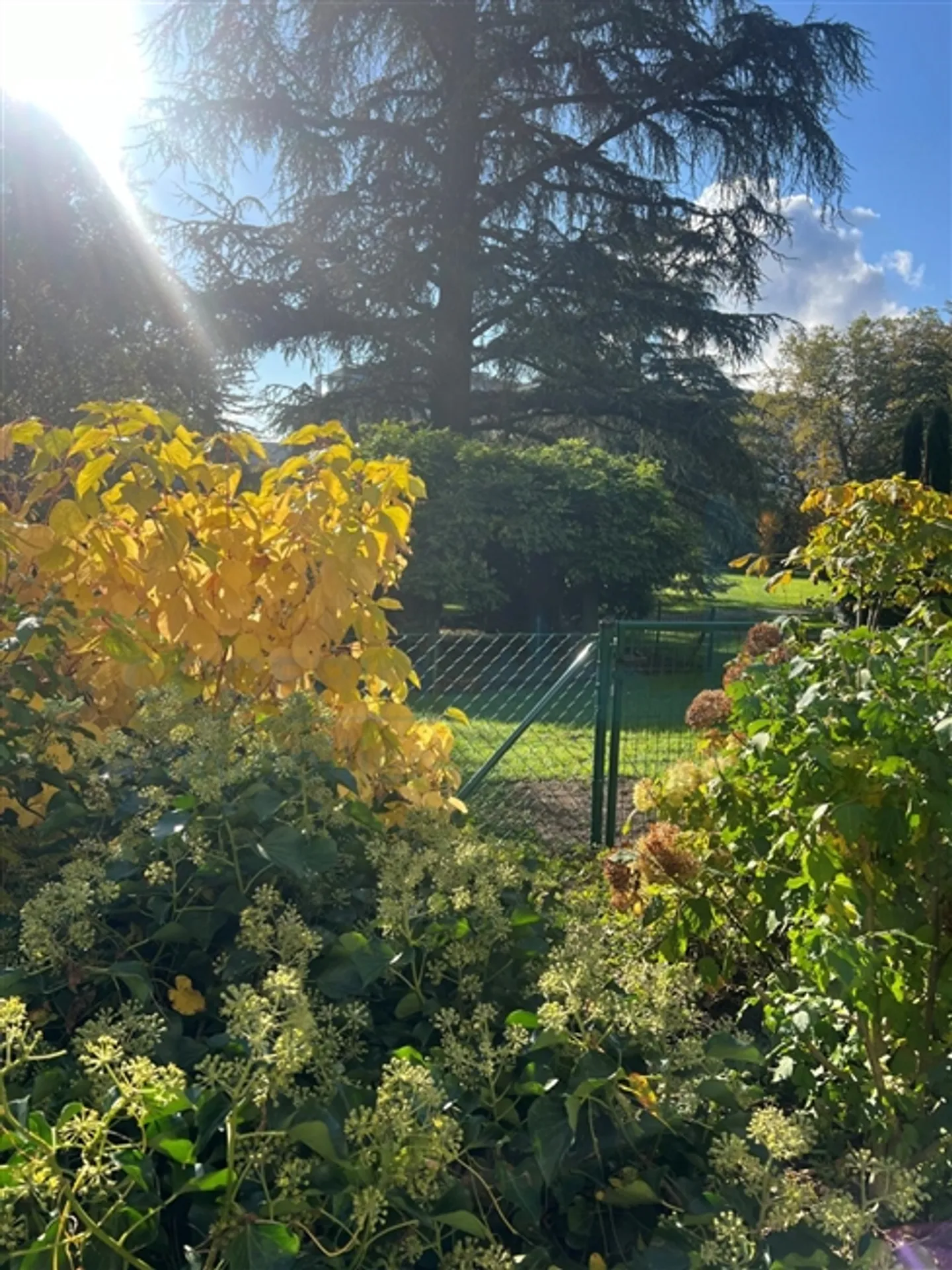 «WOHNUNG 6P/ Gartenebene» - Foto 4 von 4