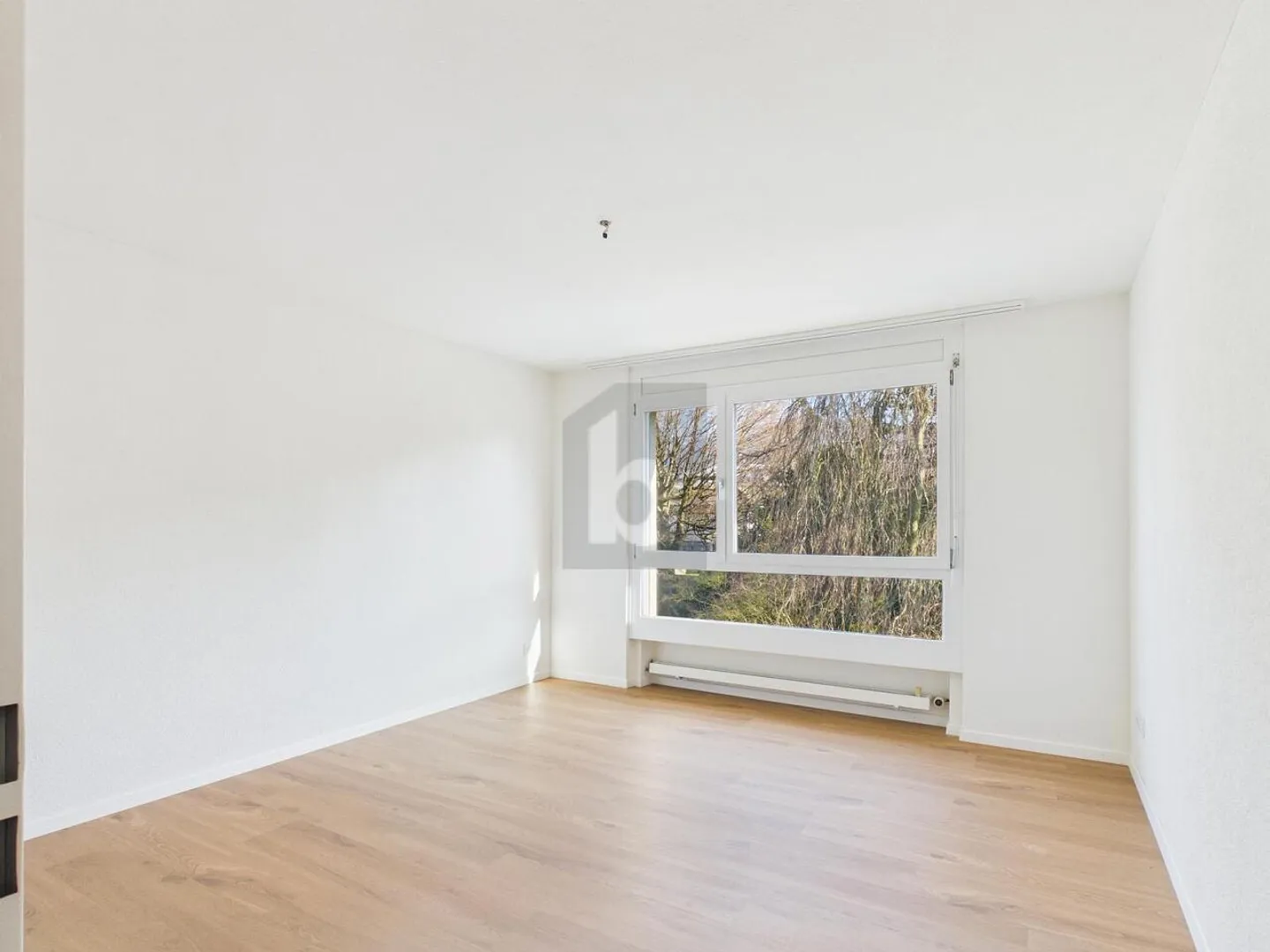 BAIGNÉ DE LUMIÈRE AVEC VUE SUR LA NATURE - Photo 3 sur 6