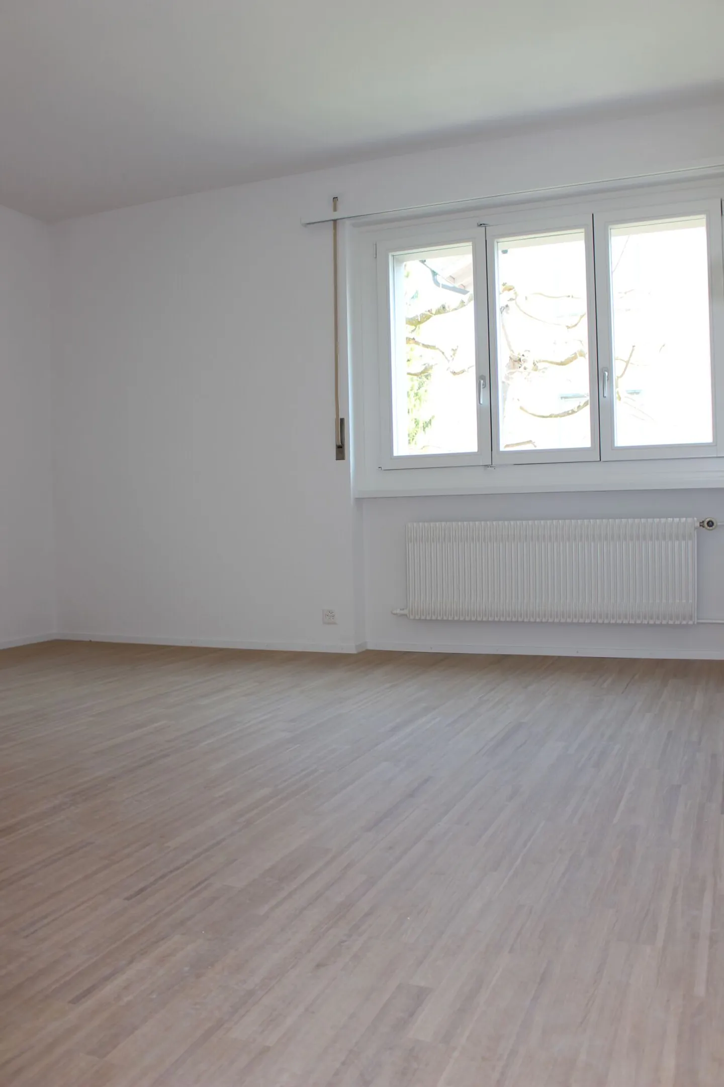 Appartement de jardin attrayant de 3 pièces (chambre supplémentaire optionnelle au sous-sol) près du centre-ville - Photo 12 sur 19