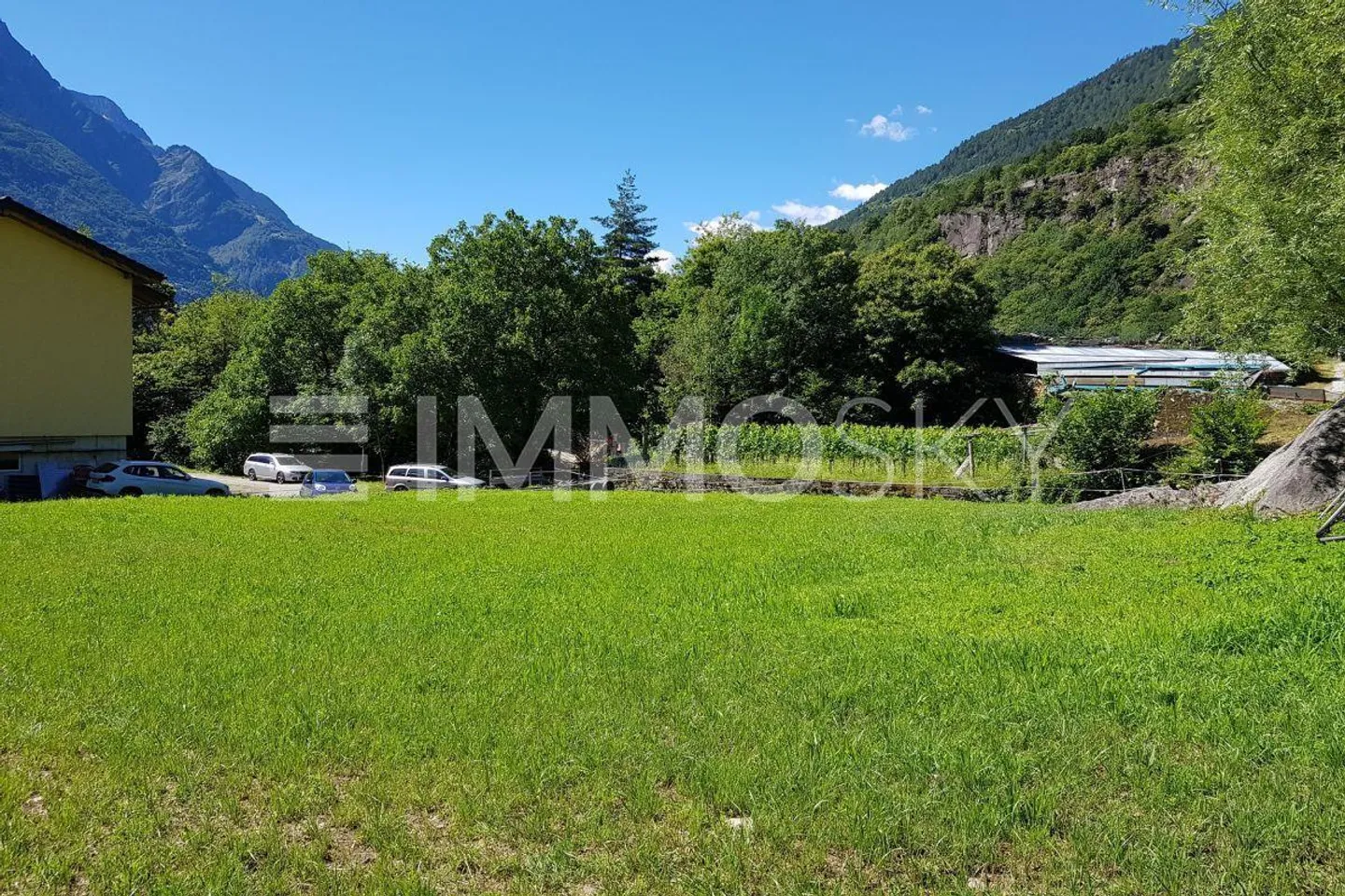 Entre le soleil et la nature - Photo 2 sur 5