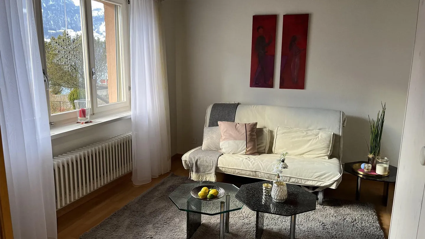 Appartamento 2,5 locali con vista lago e patio - Foto 1 di 15