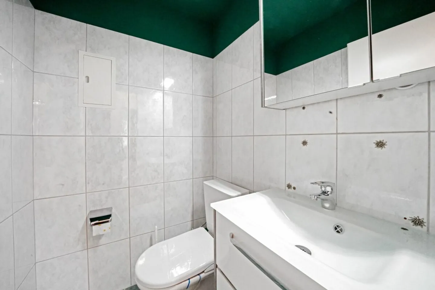 Affordable, renovated 4.5 room apartment 10 min from Basel - Photo 5 of 13