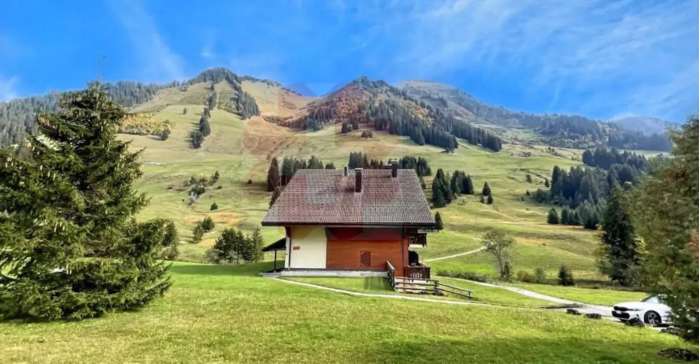 Incantevole appartamento mansardato di 2,5 locali con vista eccezionale - Foto 4 di 13