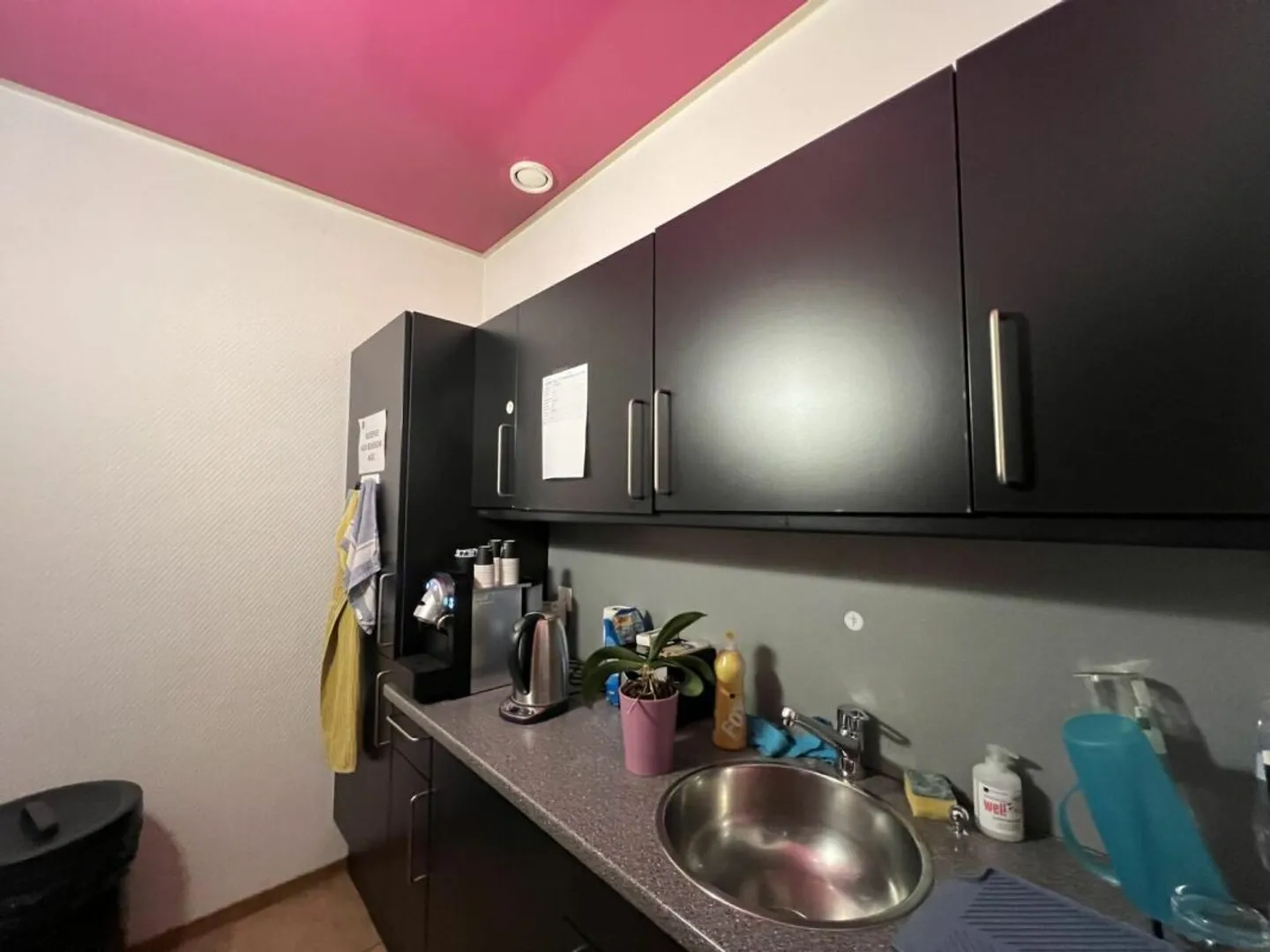 Management/Office 18 Rooms in Le Mont-sur-Lausanne - Photo 5 of 13