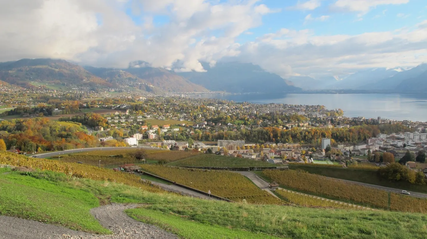 4.5-room apartment with stunning views of the lake and the Alps - Photo 4 of 13