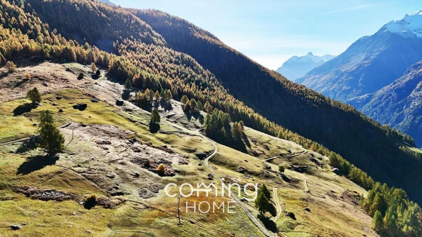 Gspon: Terreno edificabile in posizione tranquilla con panorama montano unico - Foto 10 di 13