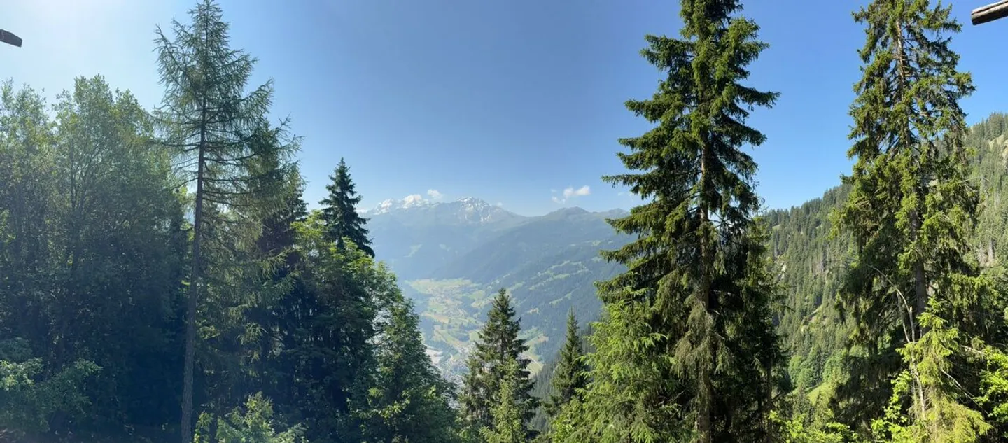 «6-ZIMMER-CHALET MITTEN IN DER NATUR - RUHIGE LAGE / BLICK VON OBEN» - Foto 15 von 30