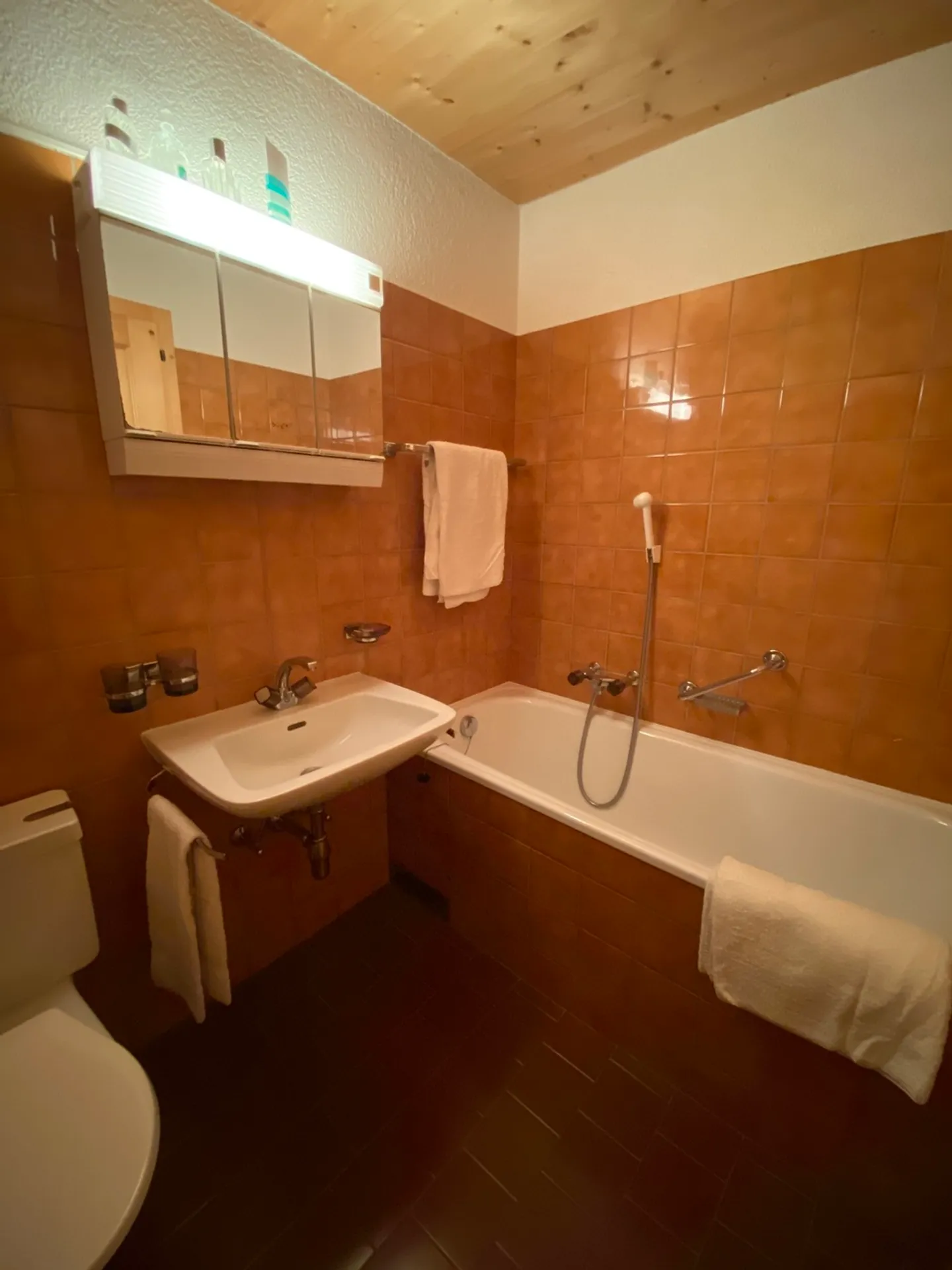 «6-ZIMMER-CHALET MITTEN IN DER NATUR - RUHIGE LAGE / BLICK VON OBEN» - Foto 23 von 30