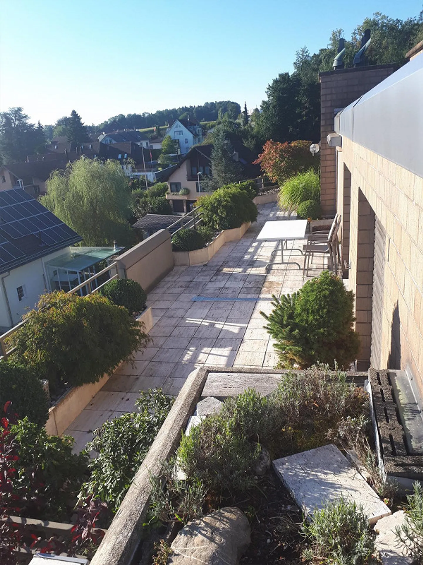Sonnige 3.5-Zimmerwohnung mit Aussicht - Foto 3 von 17