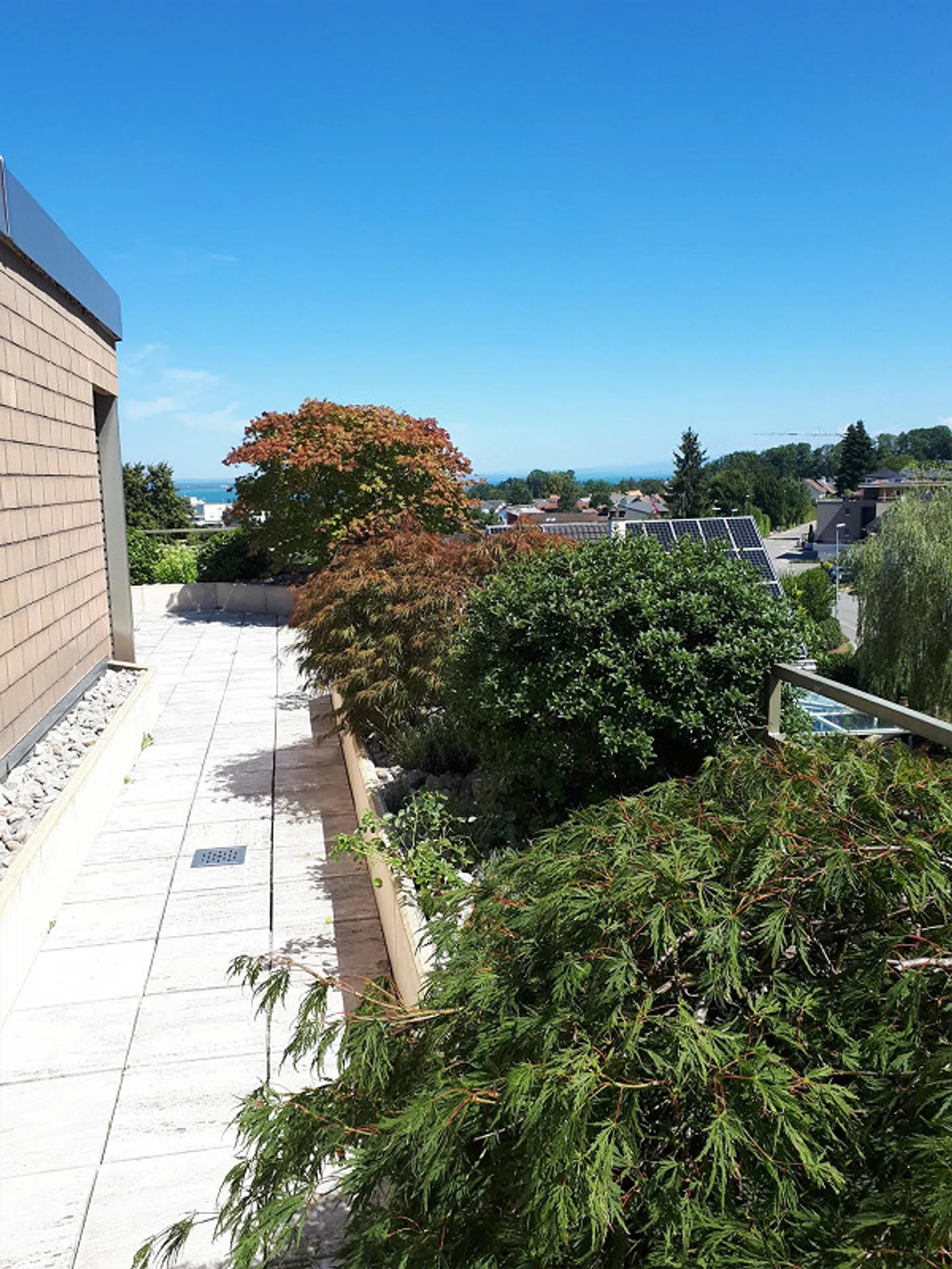 Sonnige 3.5-Zimmerwohnung mit Aussicht - Foto 4 von 17